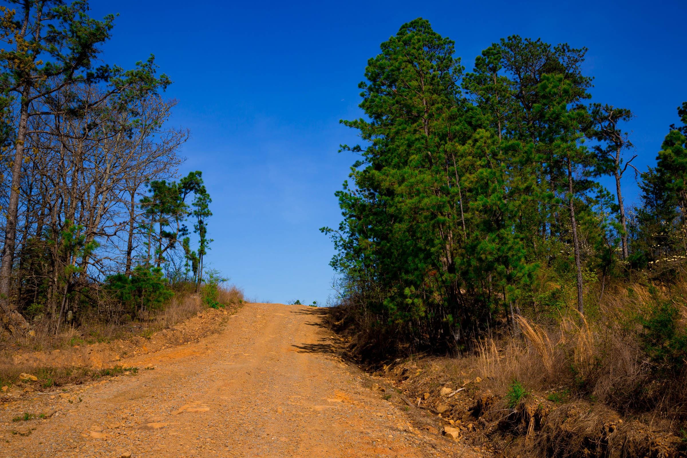 Stone Creek Phase II Tract 233 photo 8