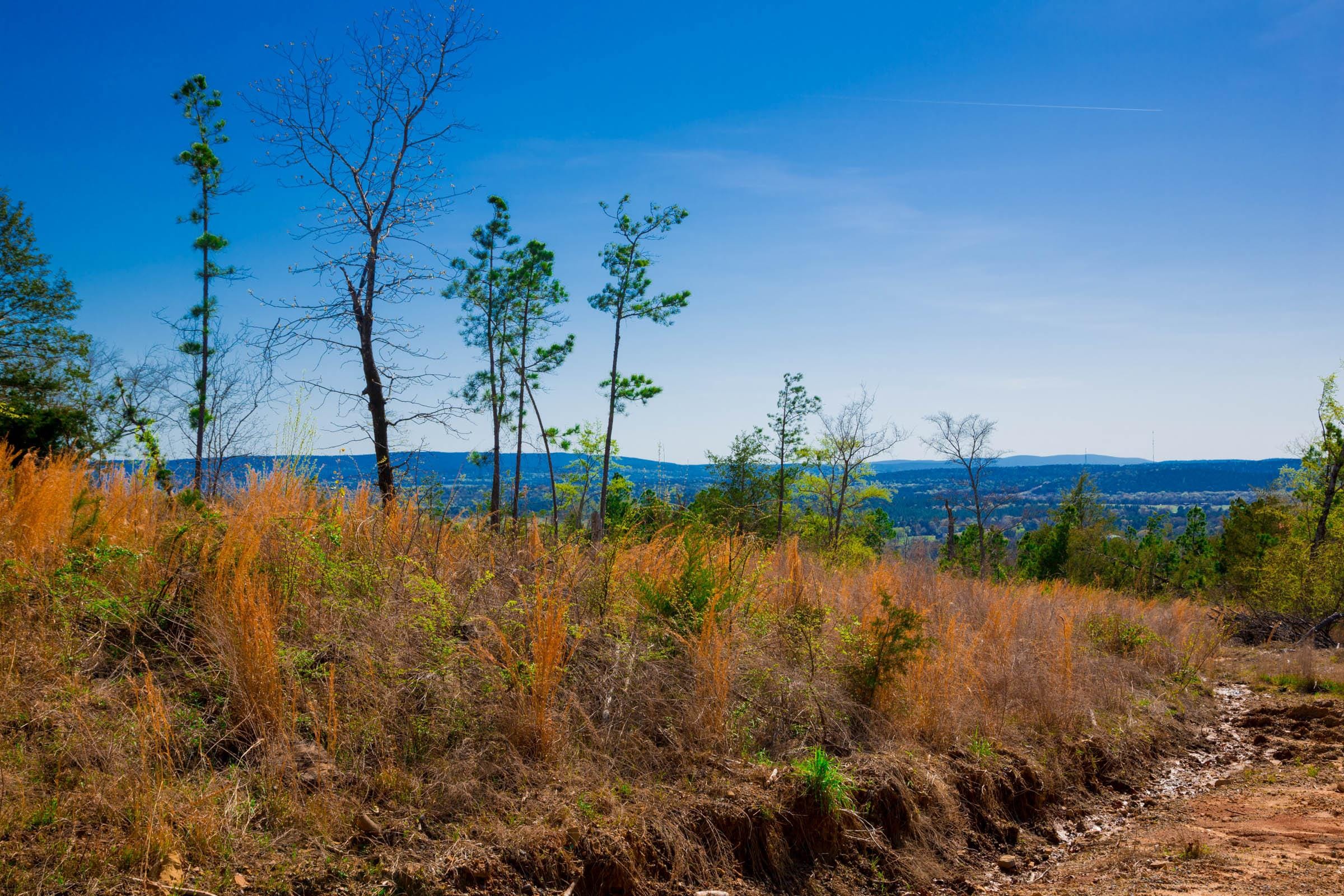 Stone Creek Phase II Tract 233 photo 10