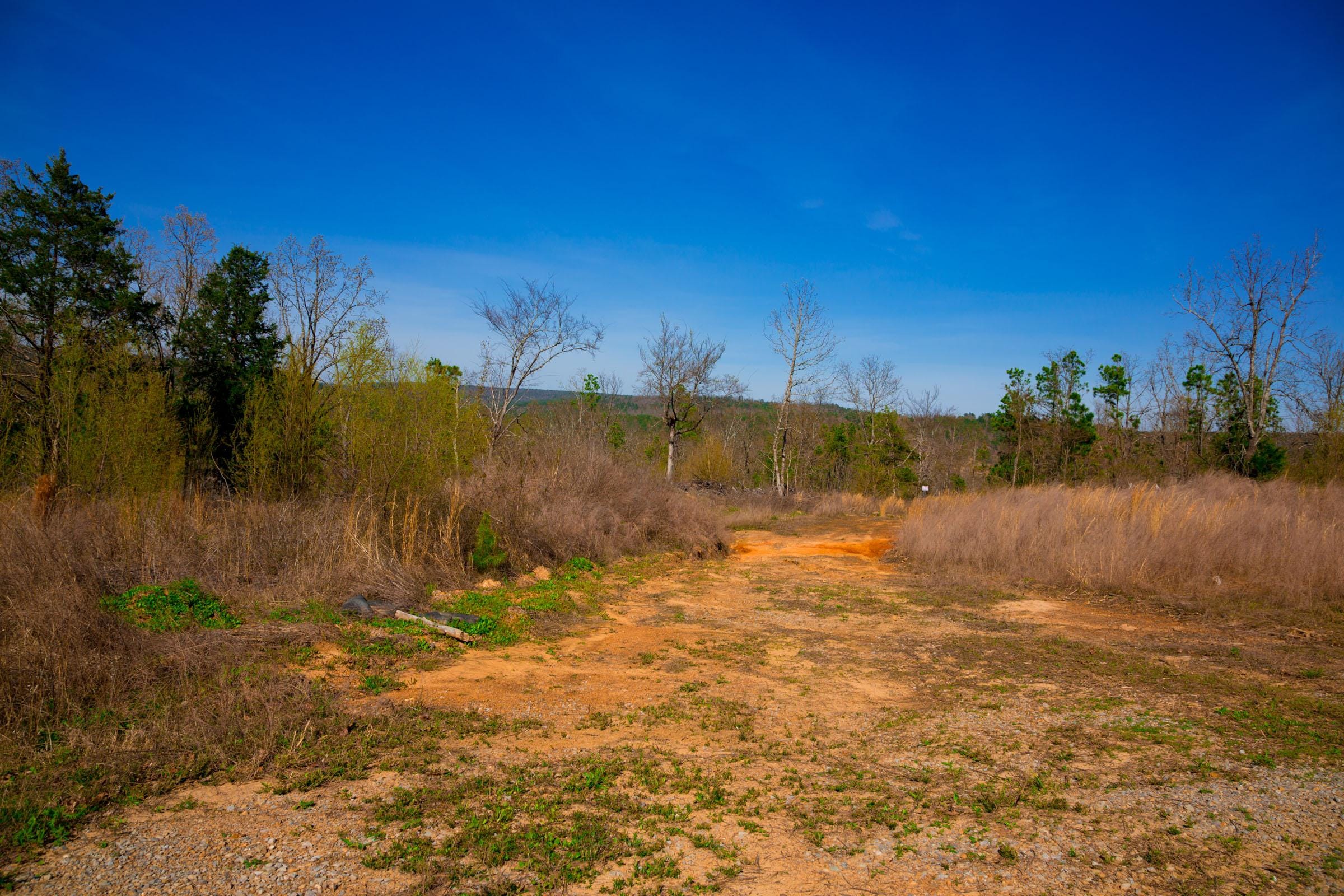 Stone Creek Phase II Tract 233 photo 11