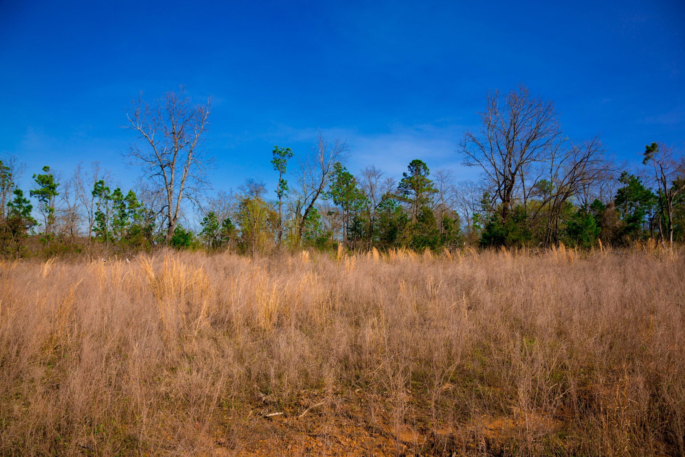 Stone Creek Phase II Tract 233 photo 12