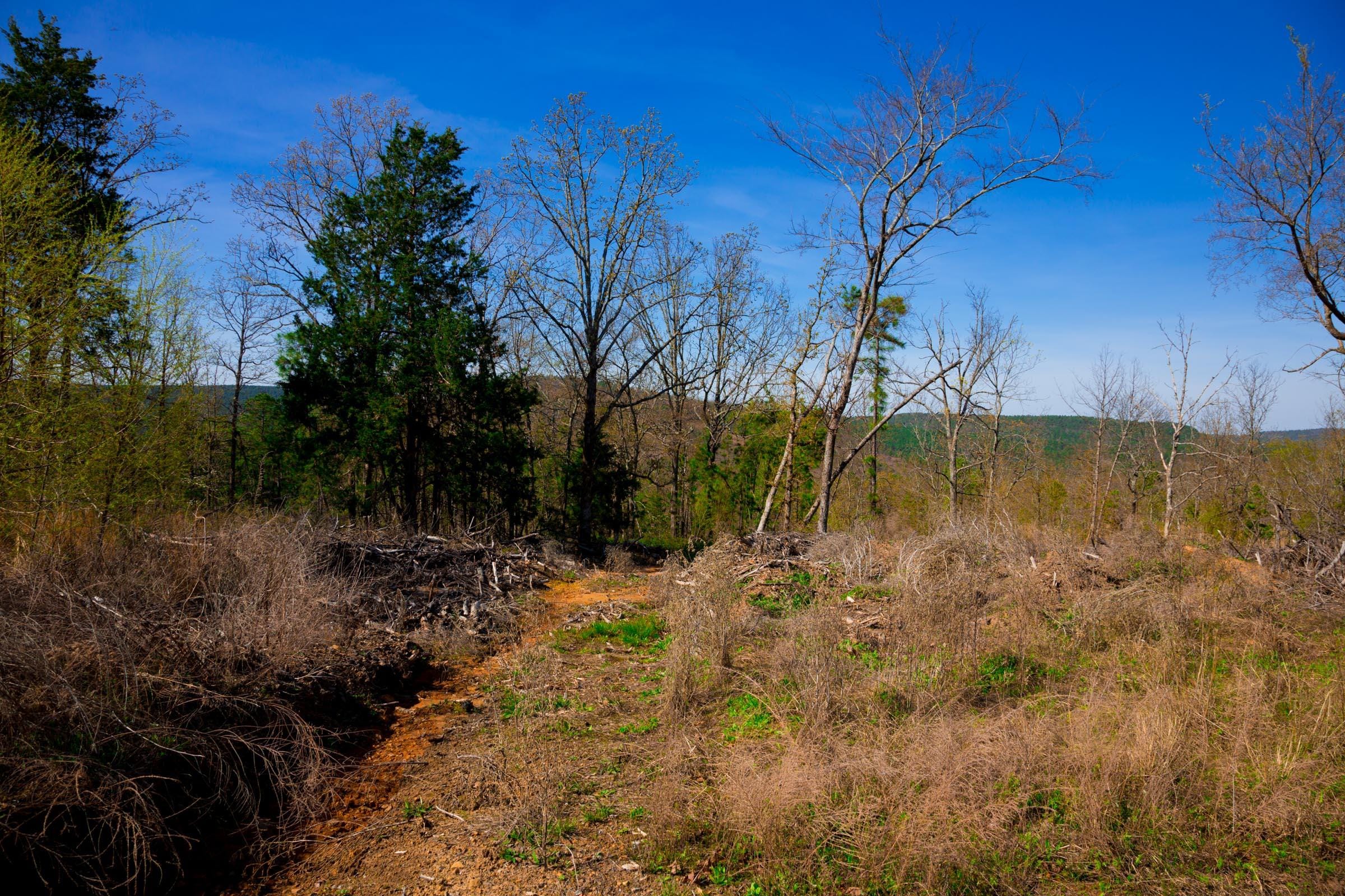 Stone Creek Phase II Tract 233 photo 13