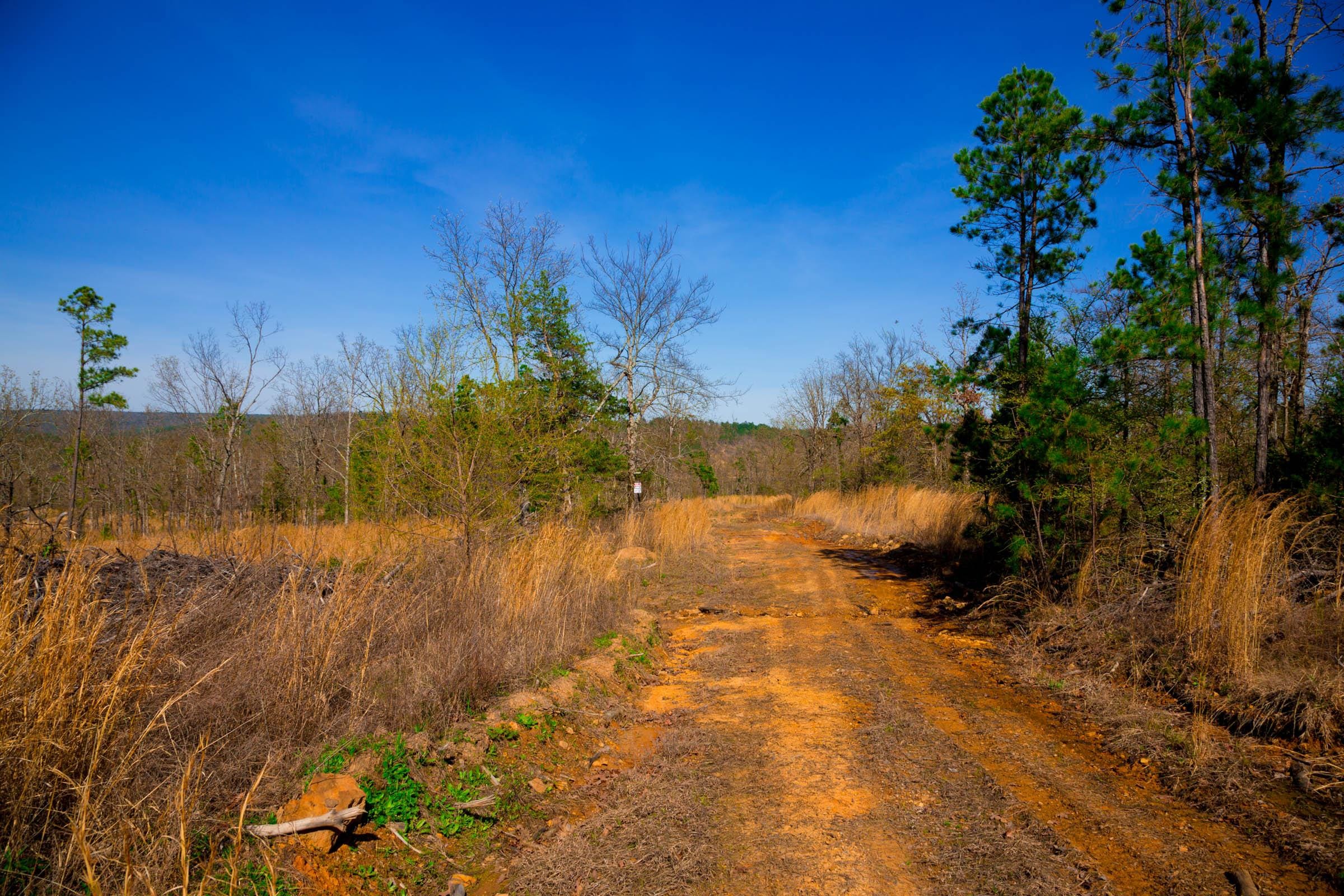 Stone Creek Phase II Tract 233 photo 2