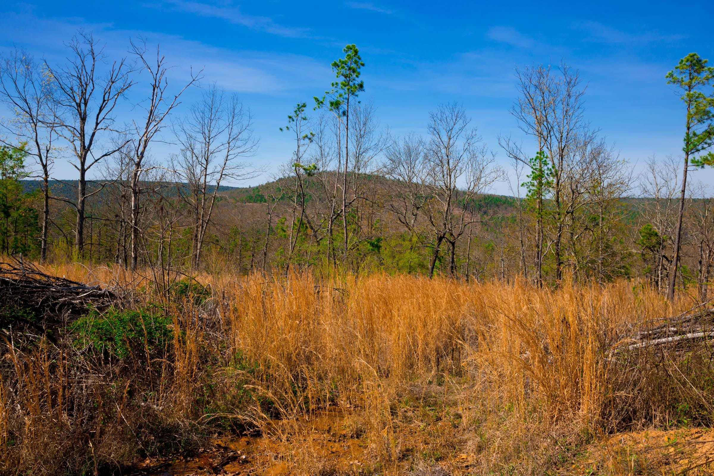 Stone Creek Phase II Tract 233 photo 15