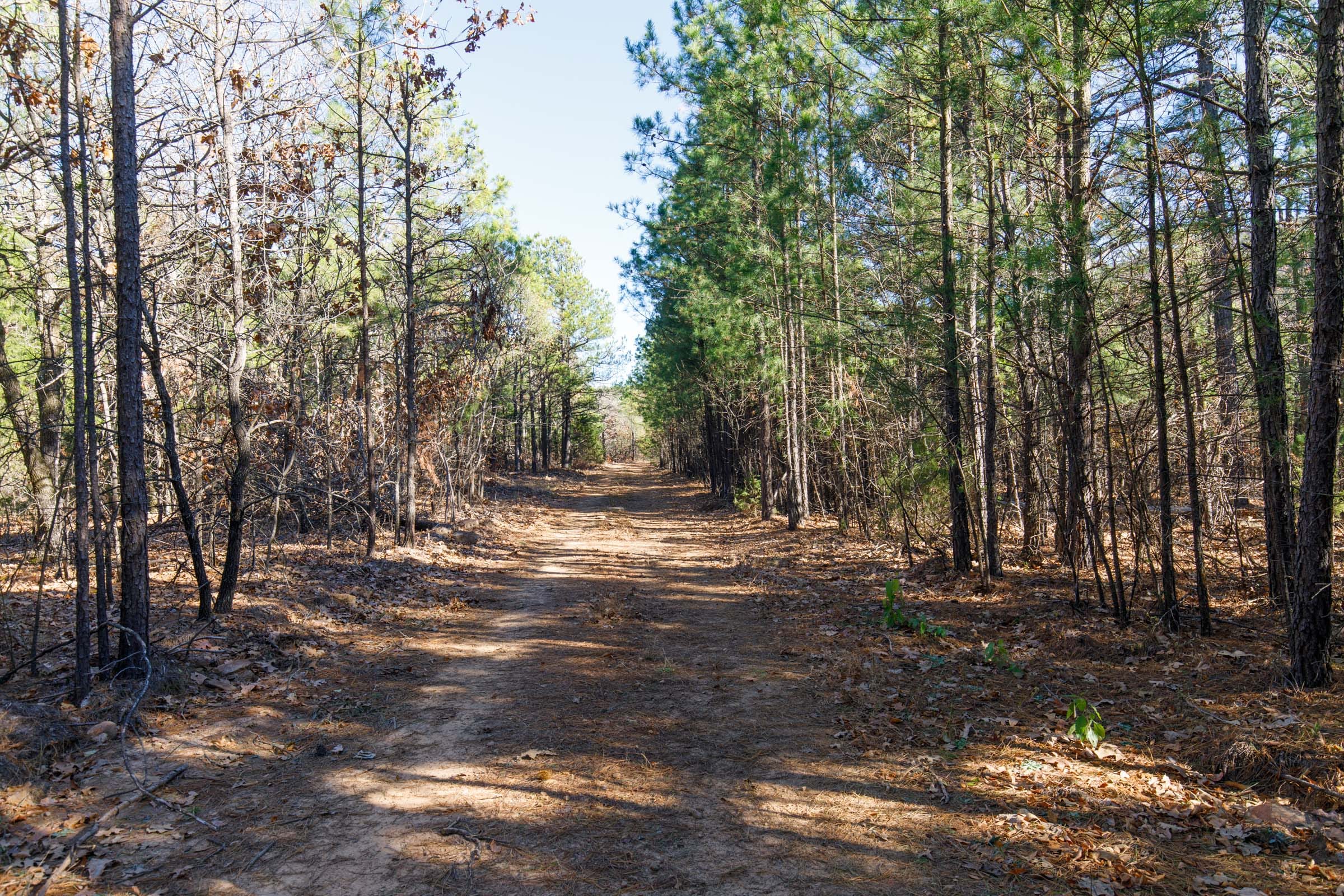 Stone Bridge Phase II Tract 126 photo 1
