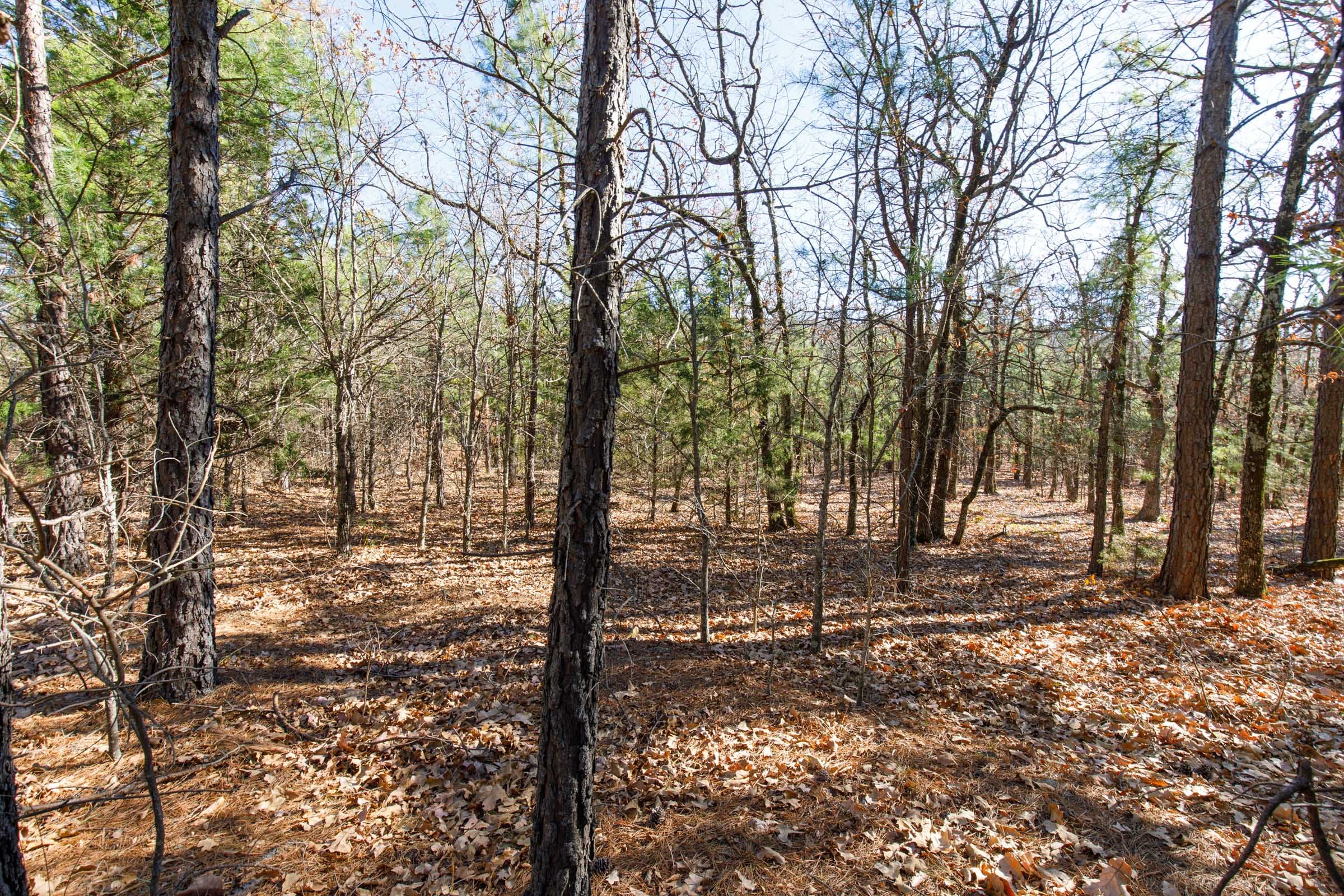 Stone Bridge Phase II Tract 126 photo 5