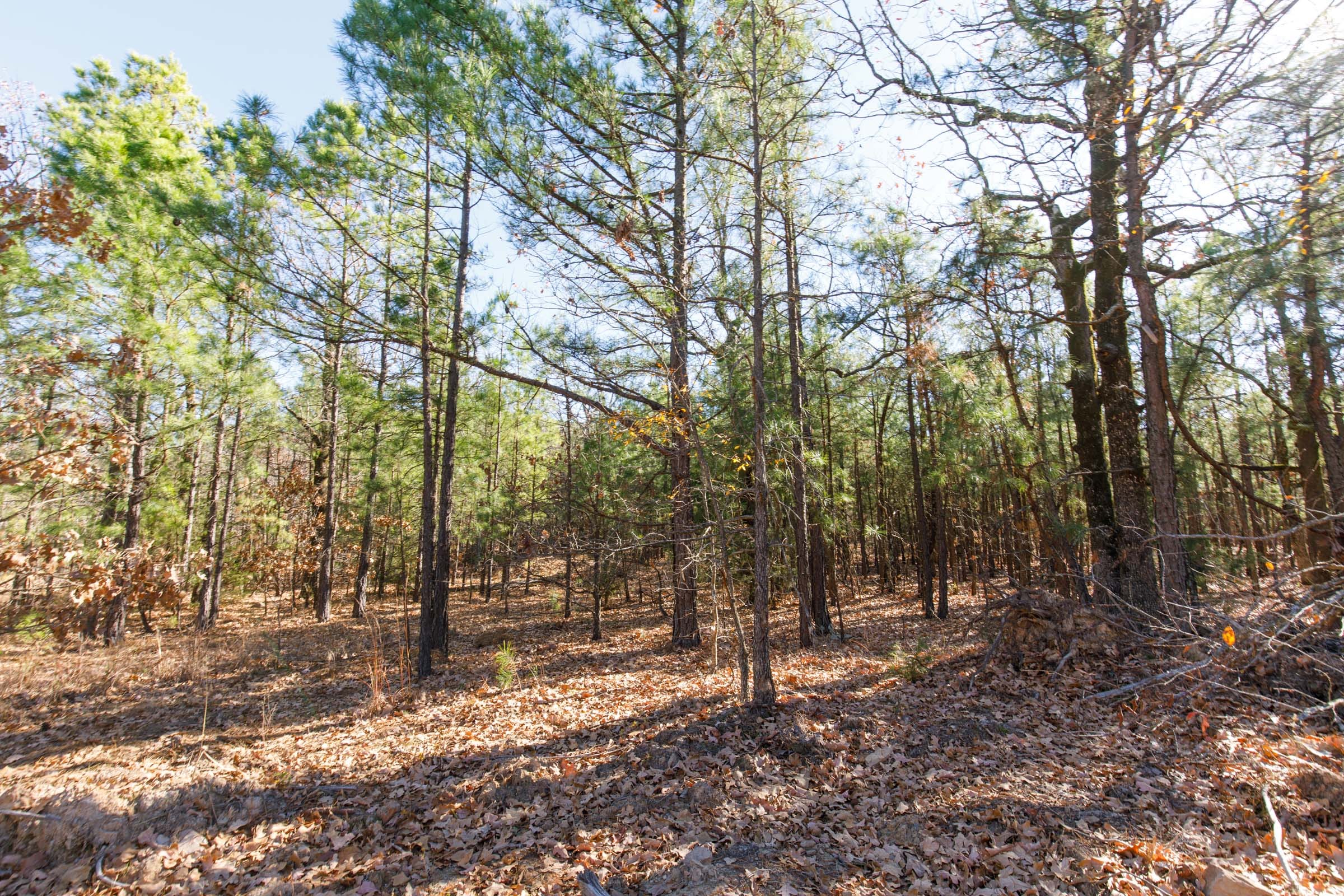 Stone Bridge Phase II Tract 126 photo 6