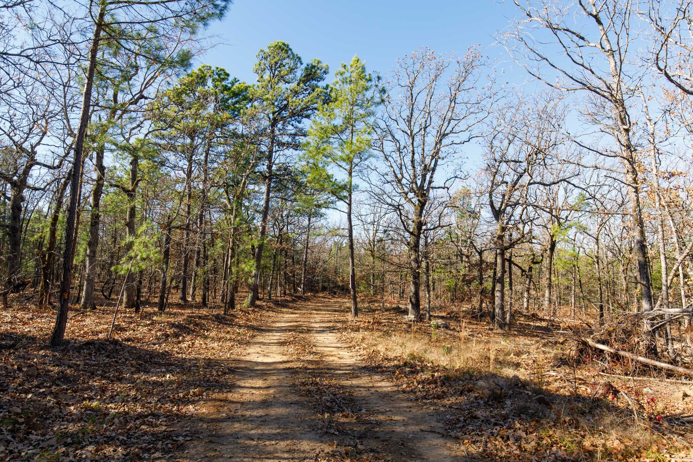 Stone Bridge Phase II Tract 126 photo 7