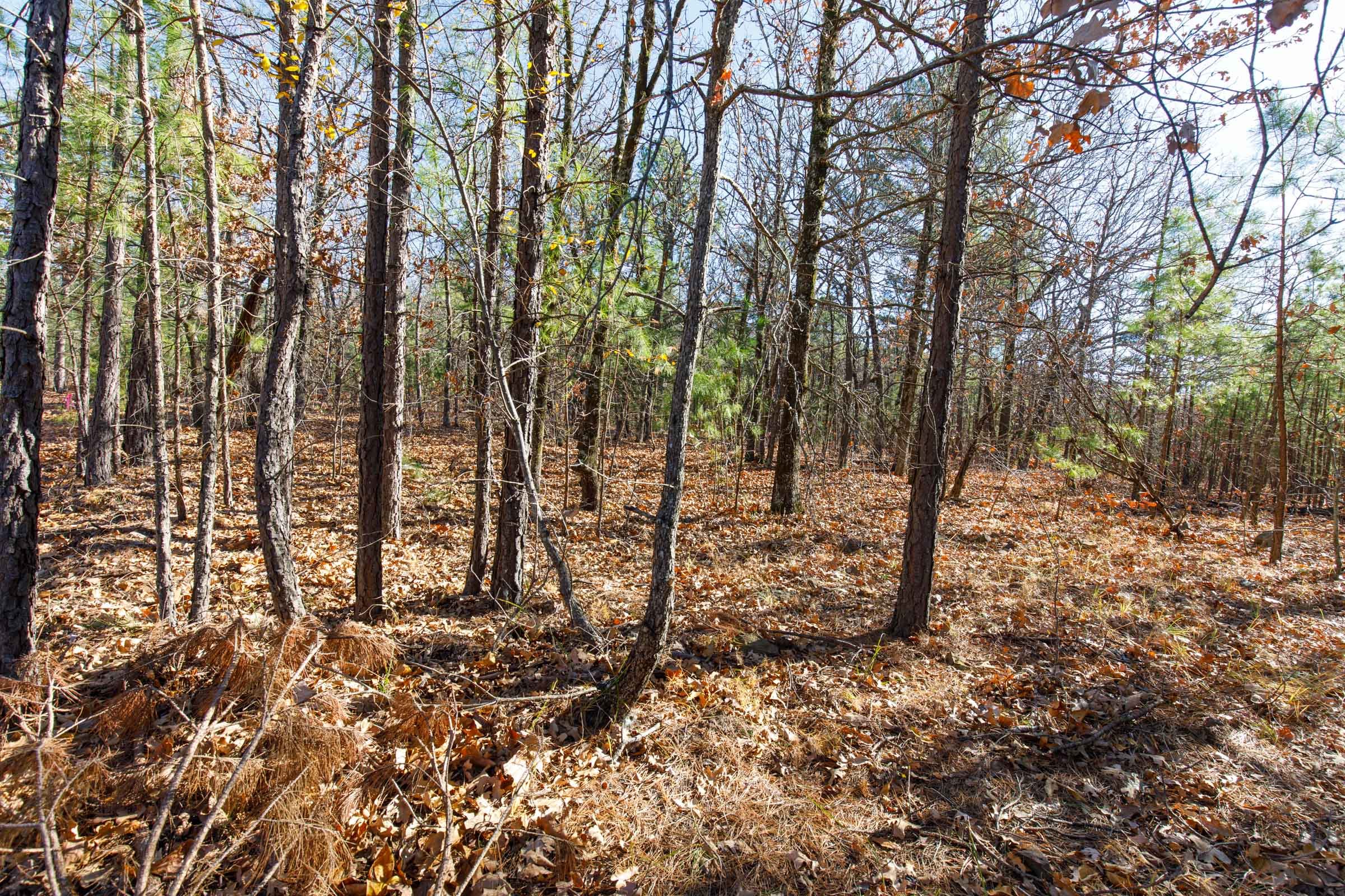 Stone Bridge Phase II Tract 126 photo 8