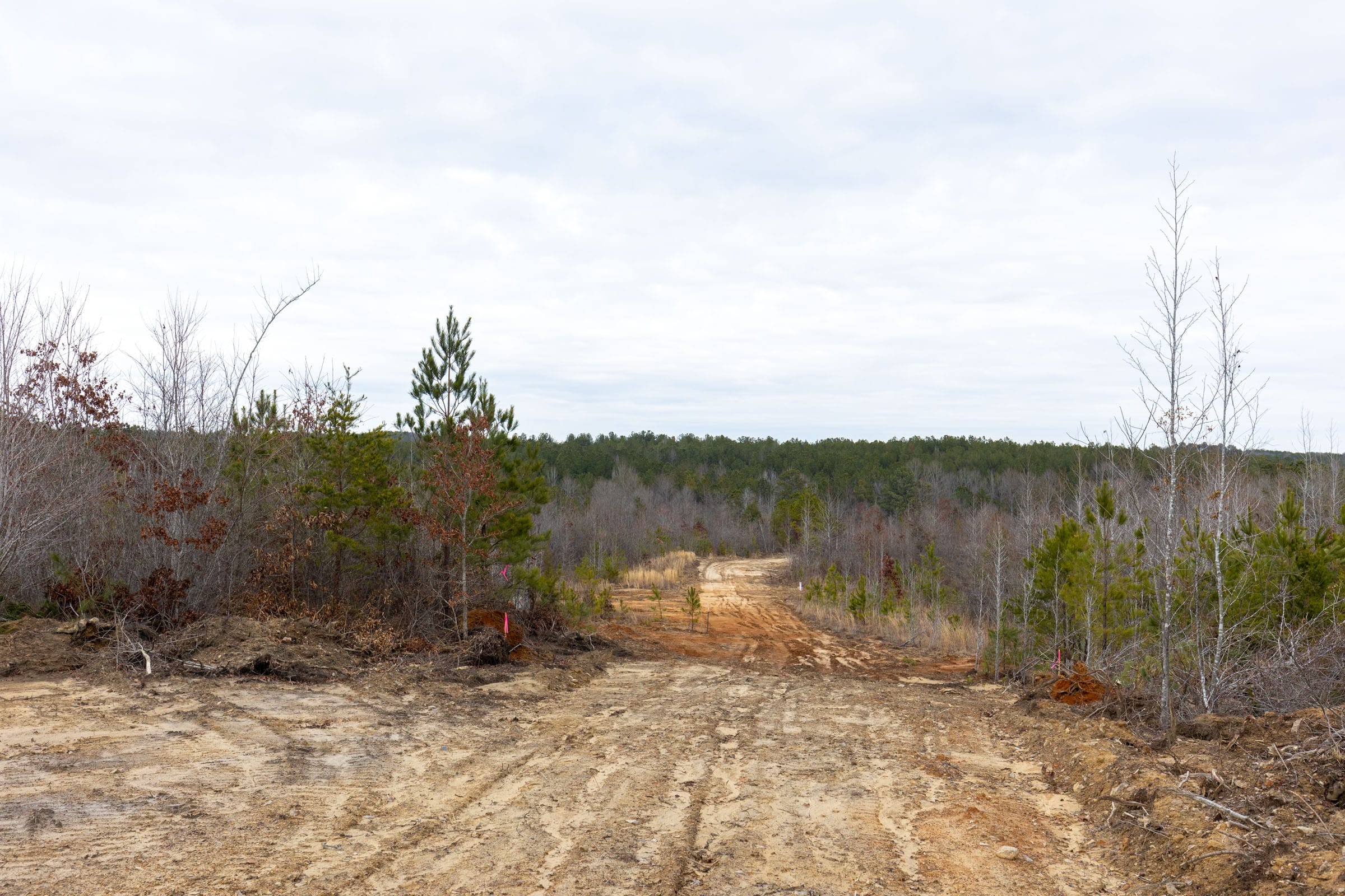 Baker Creek Tract 15 photo 10