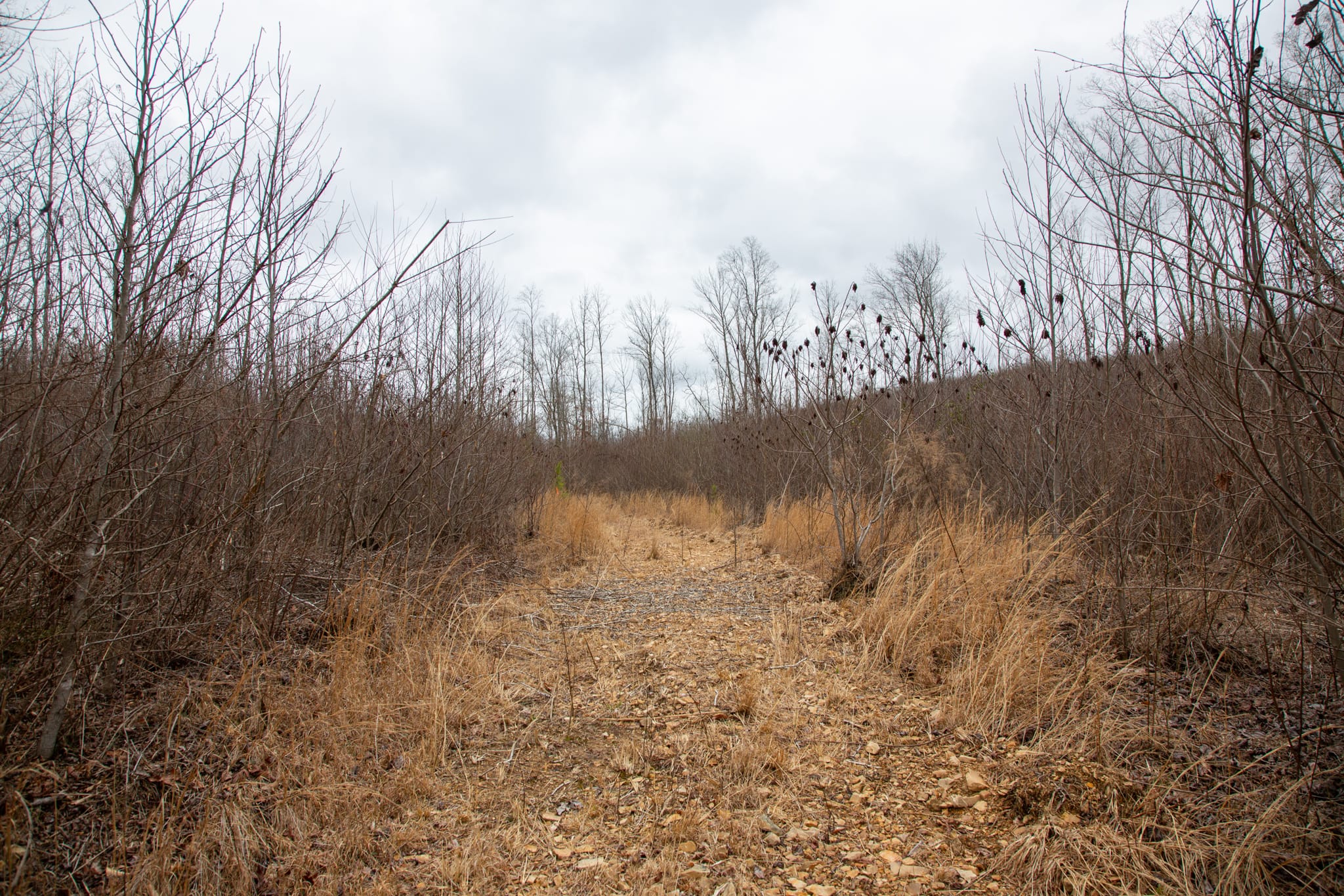 Southwind Ranch Tract 10 photo 2