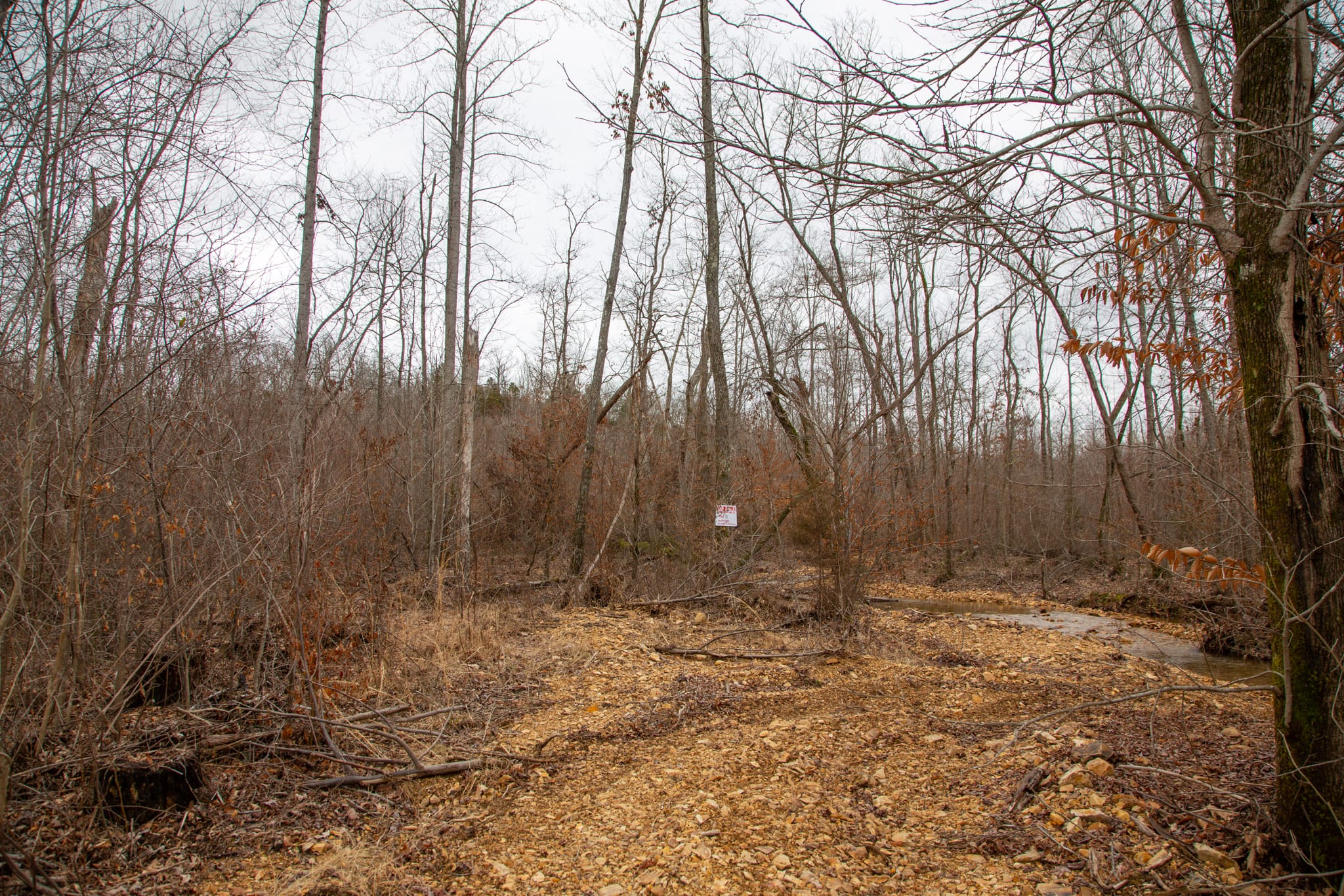 Southwind Ranch Tract 10 photo 8