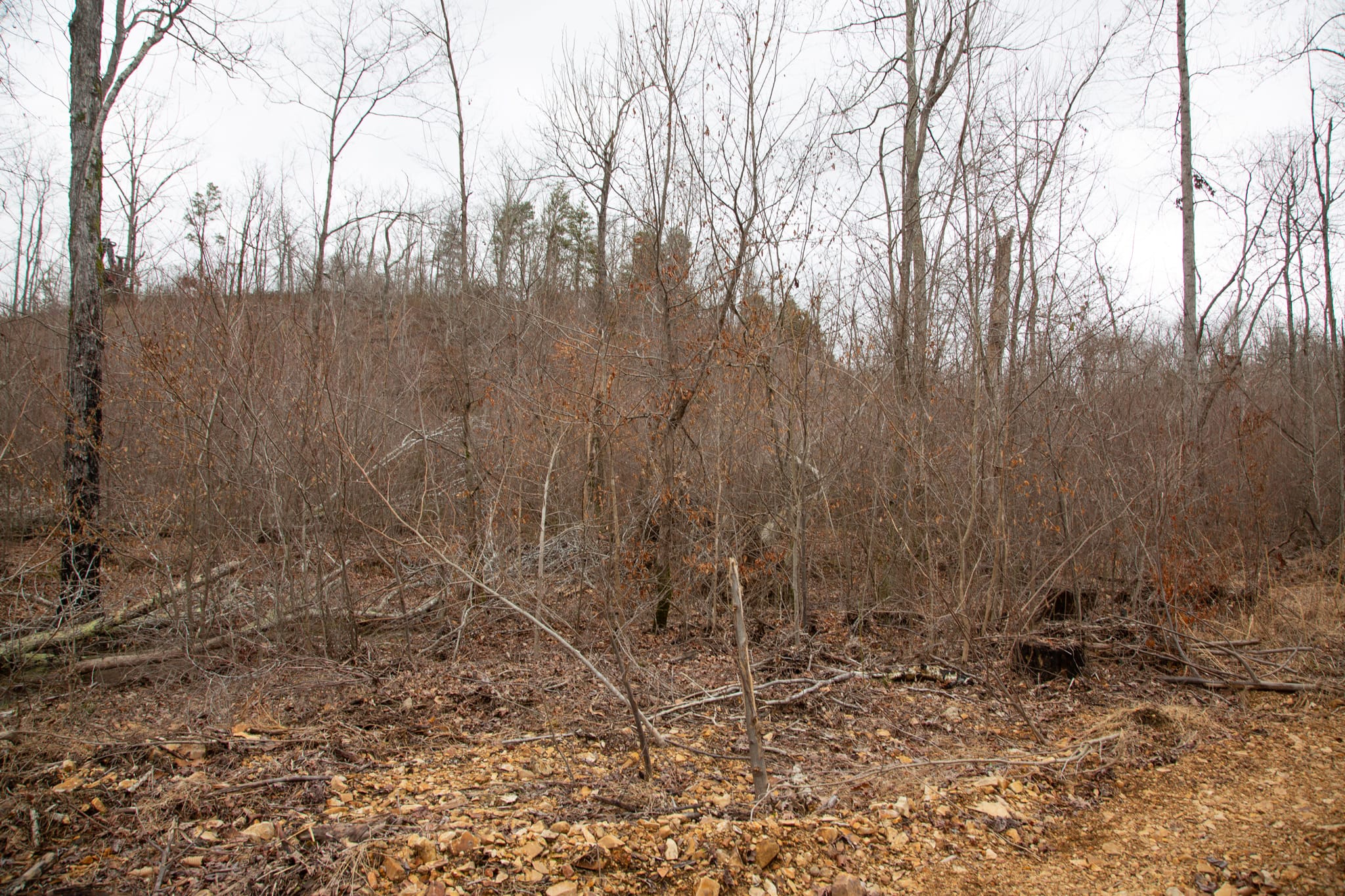 Southwind Ranch Tract 10 photo 11
