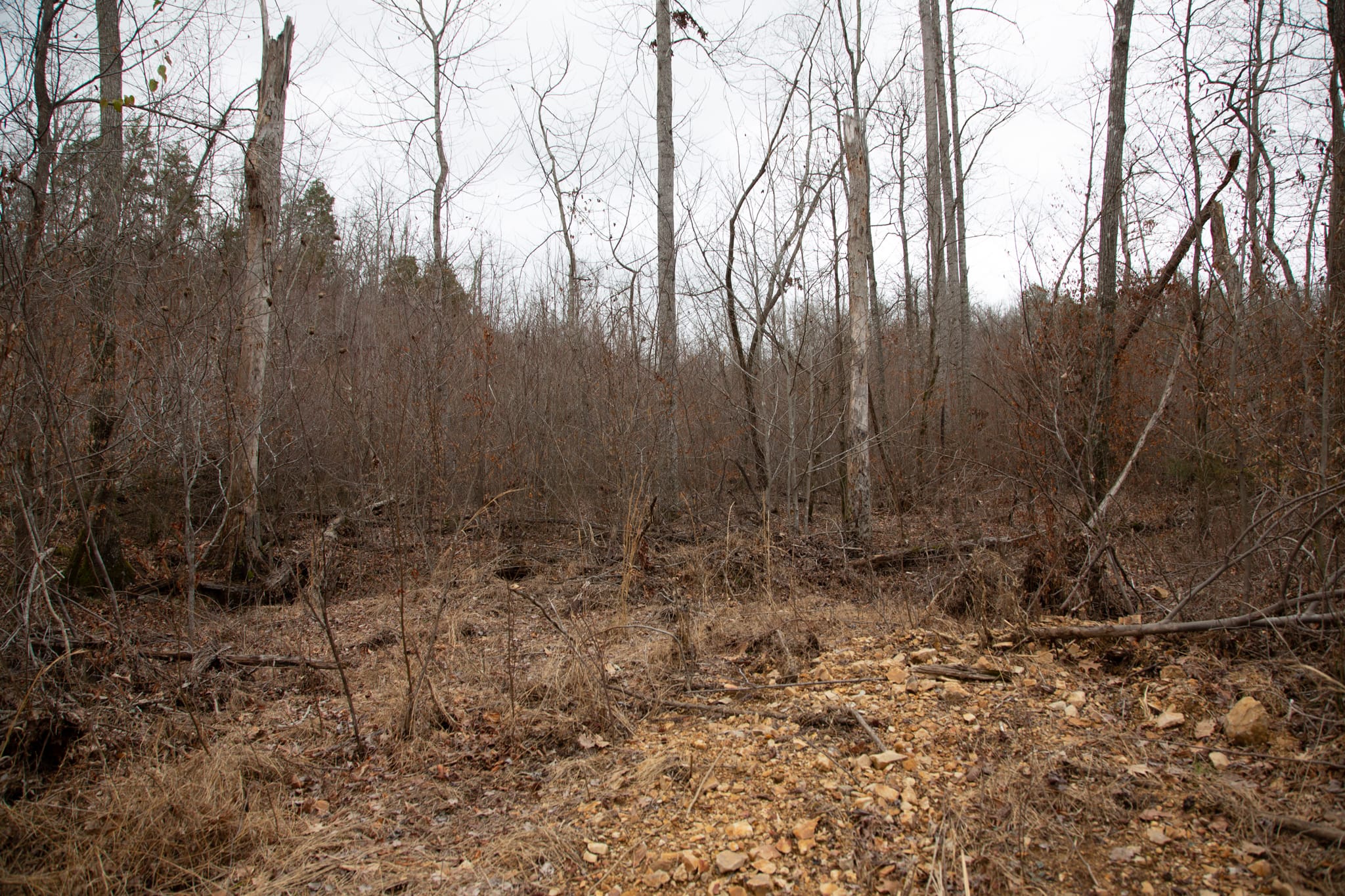 Southwind Ranch Tract 10 photo 12