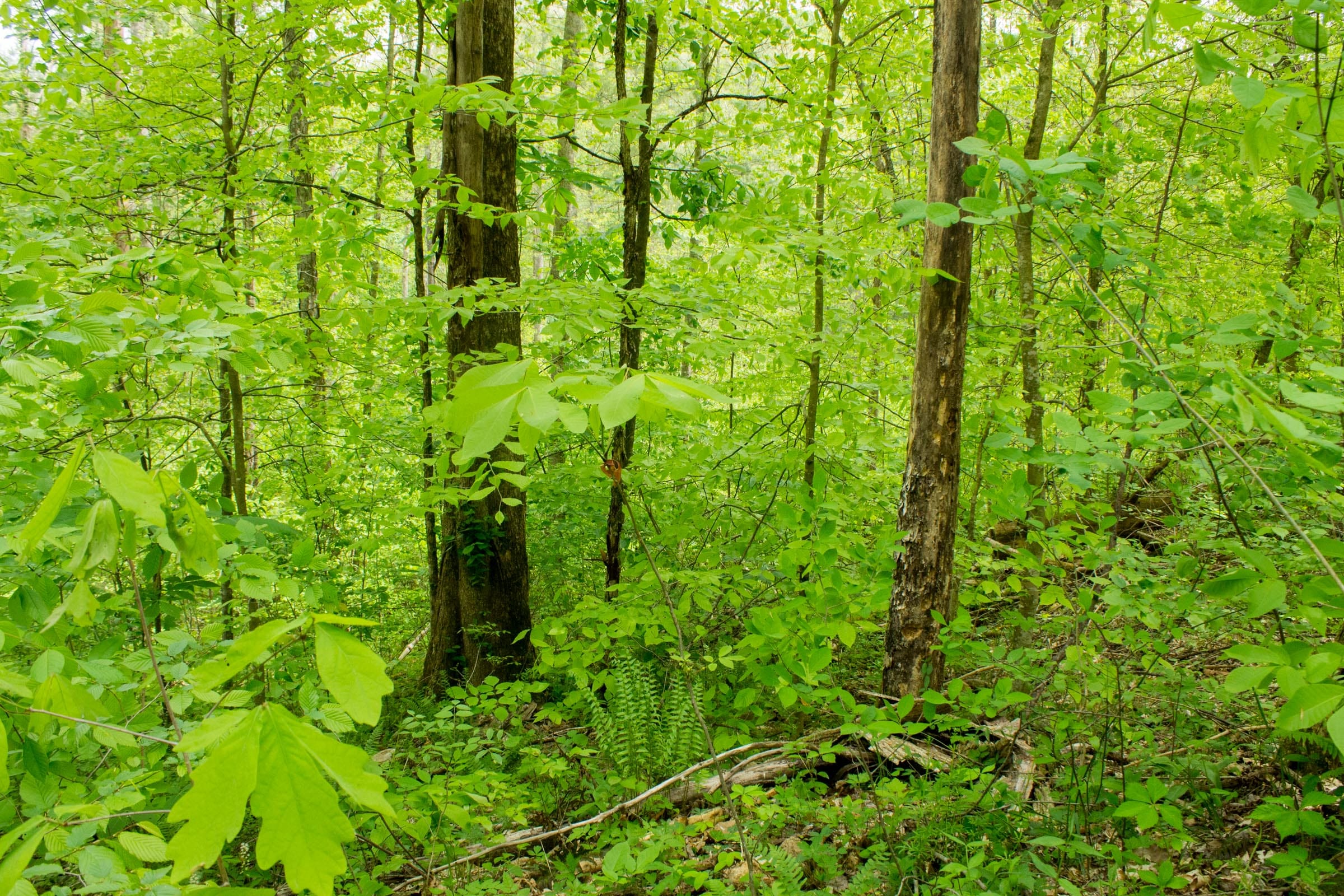 Trails End Tract 9 photo 1