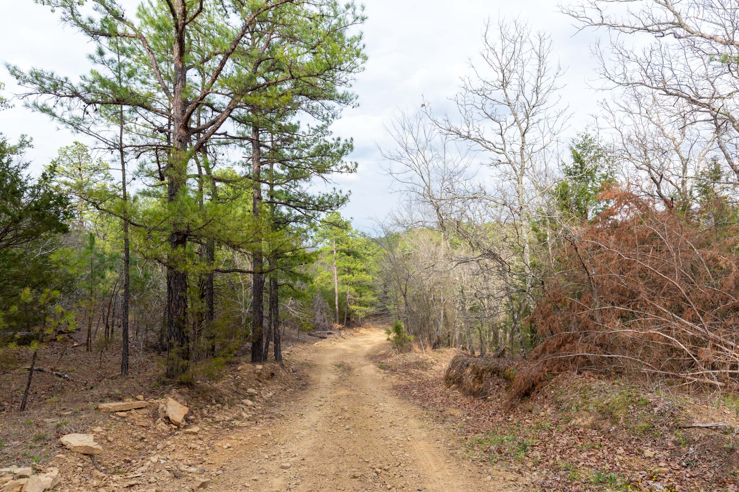 Stone Bridge Phase III Tract 177 photo 1