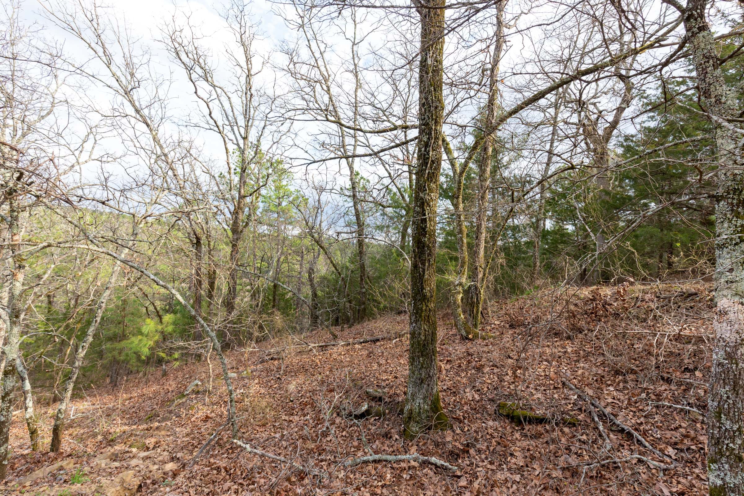 Stone Bridge Phase III Tract 177 photo 2