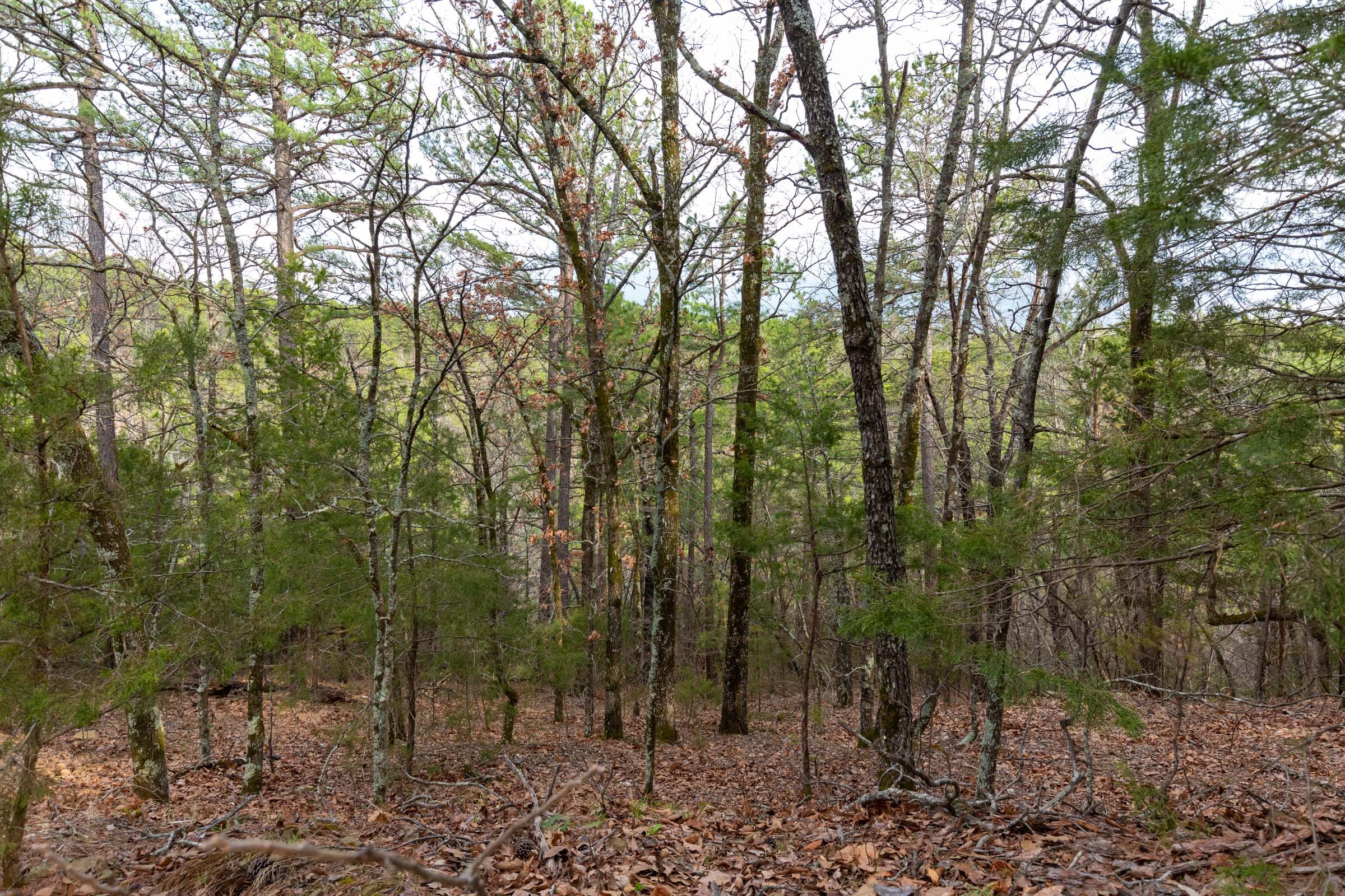 Stone Bridge Phase III Tract 177 photo 5