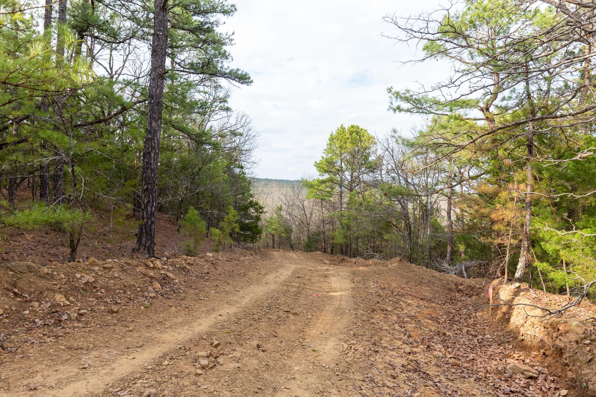 Stone Bridge Phase III Tract 177 photo 6