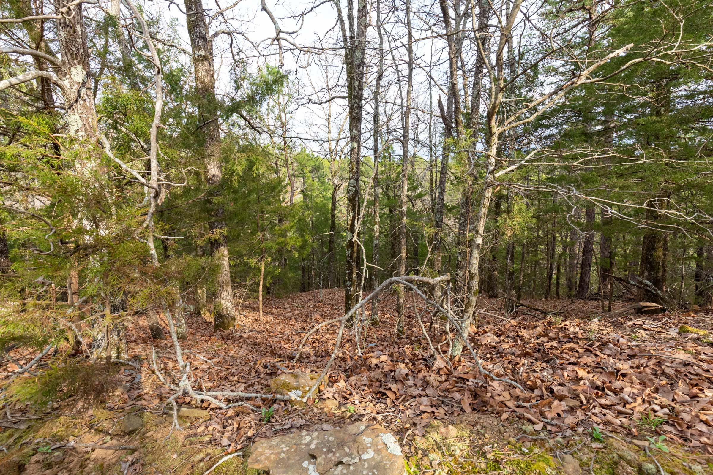 Stone Bridge Phase III Tract 177 photo 8