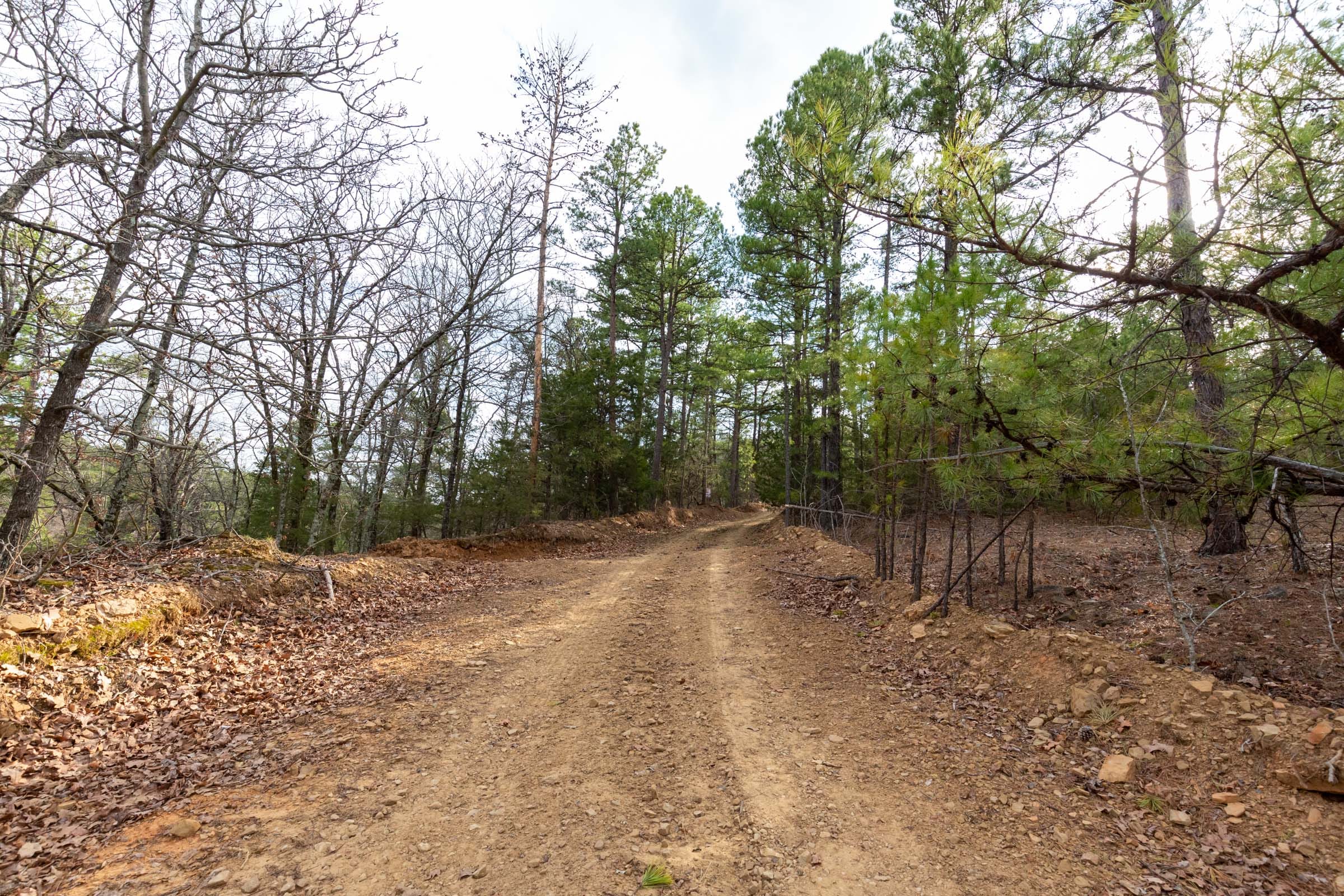 Stone Bridge Phase III Tract 177 photo 10
