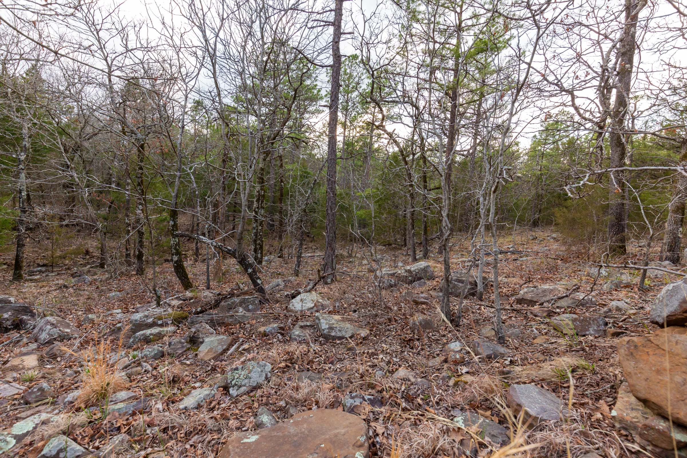 Stone Bridge Phase III Tract 177 photo 12