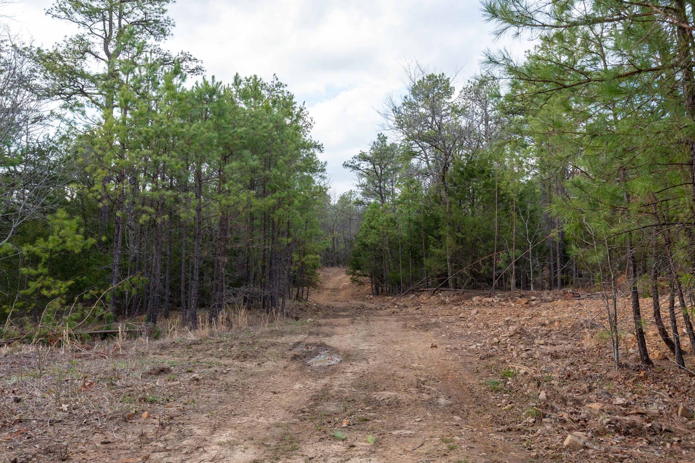 Stone Bridge Phase III Tract 177 photo 14