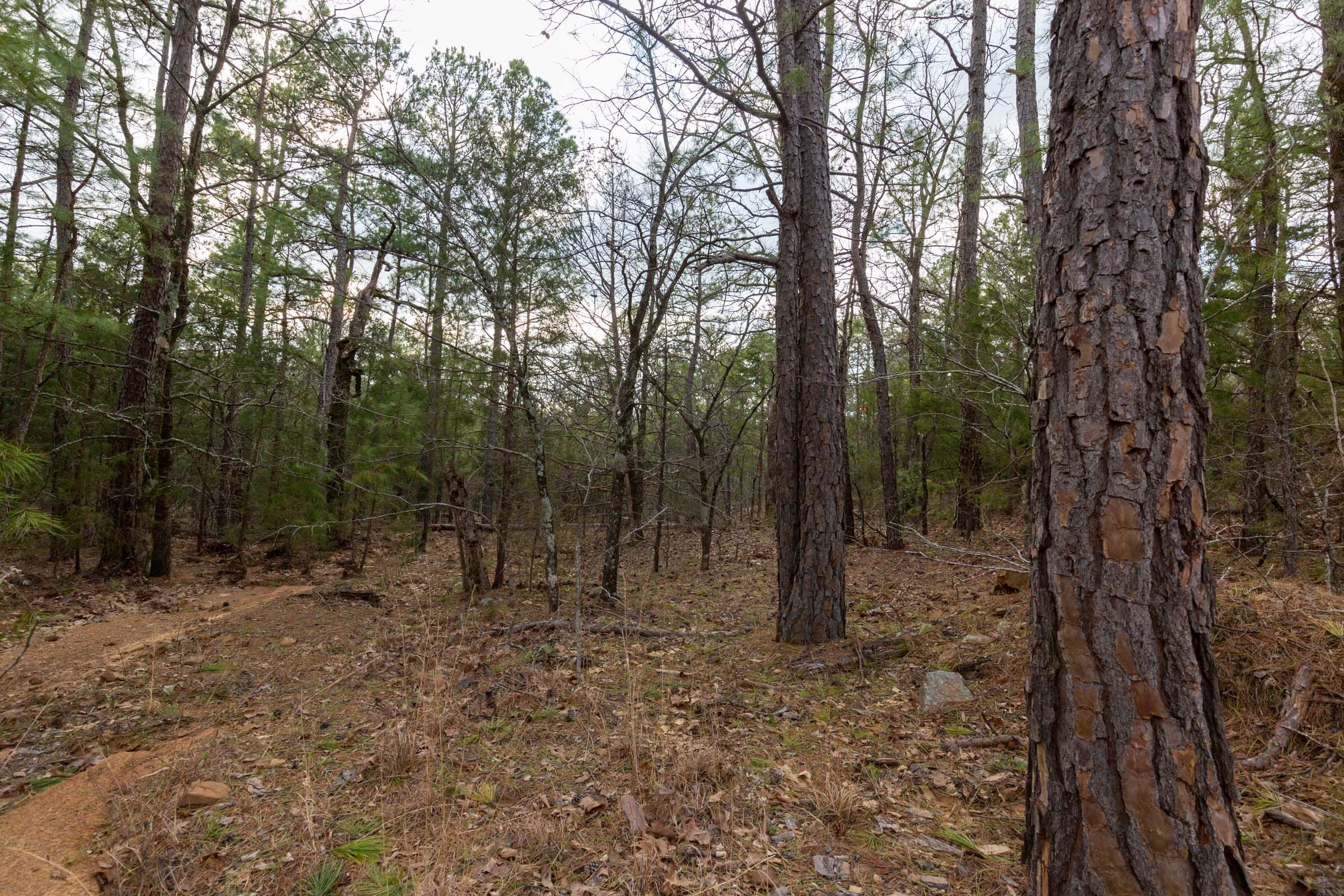 Stone Bridge Phase III Tract 177 photo 15