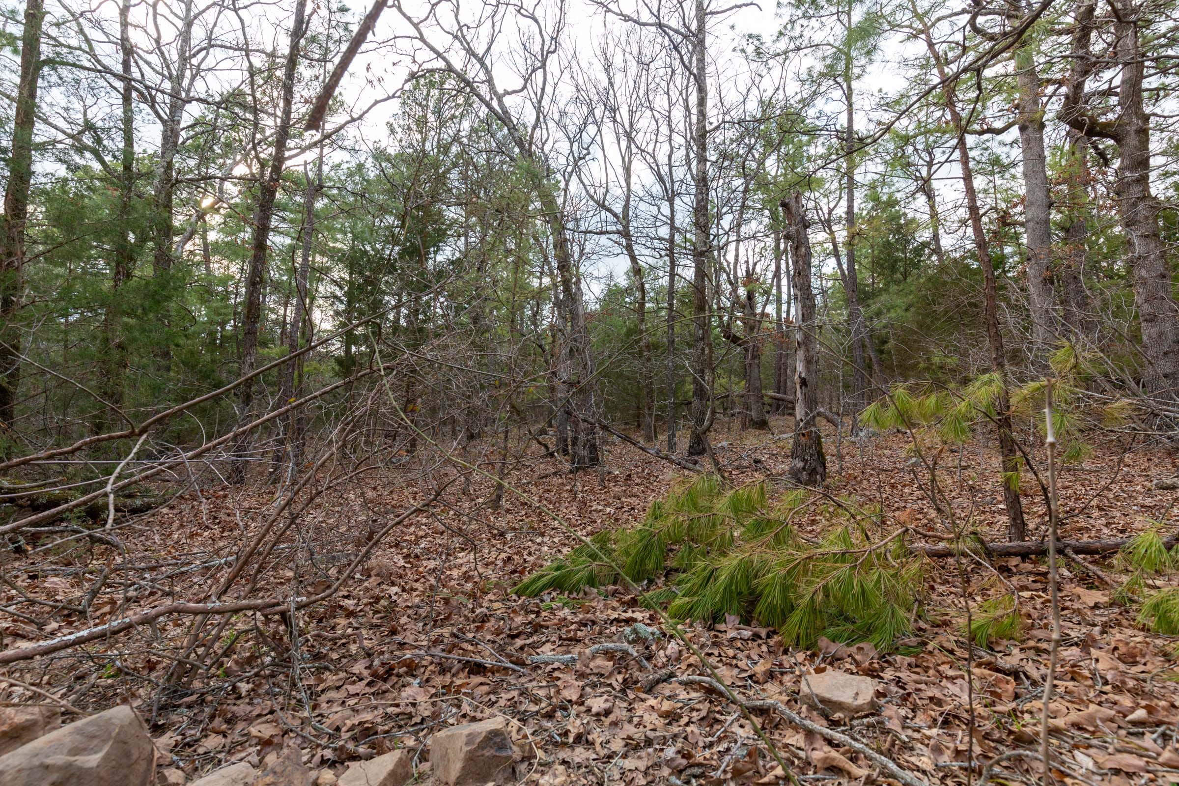 Stone Bridge Phase III Tract 177 photo 16