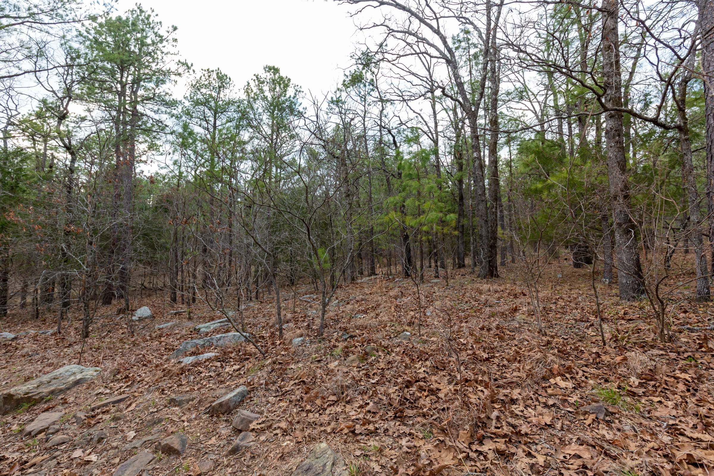 Stone Bridge Phase III Tract 177 photo 17