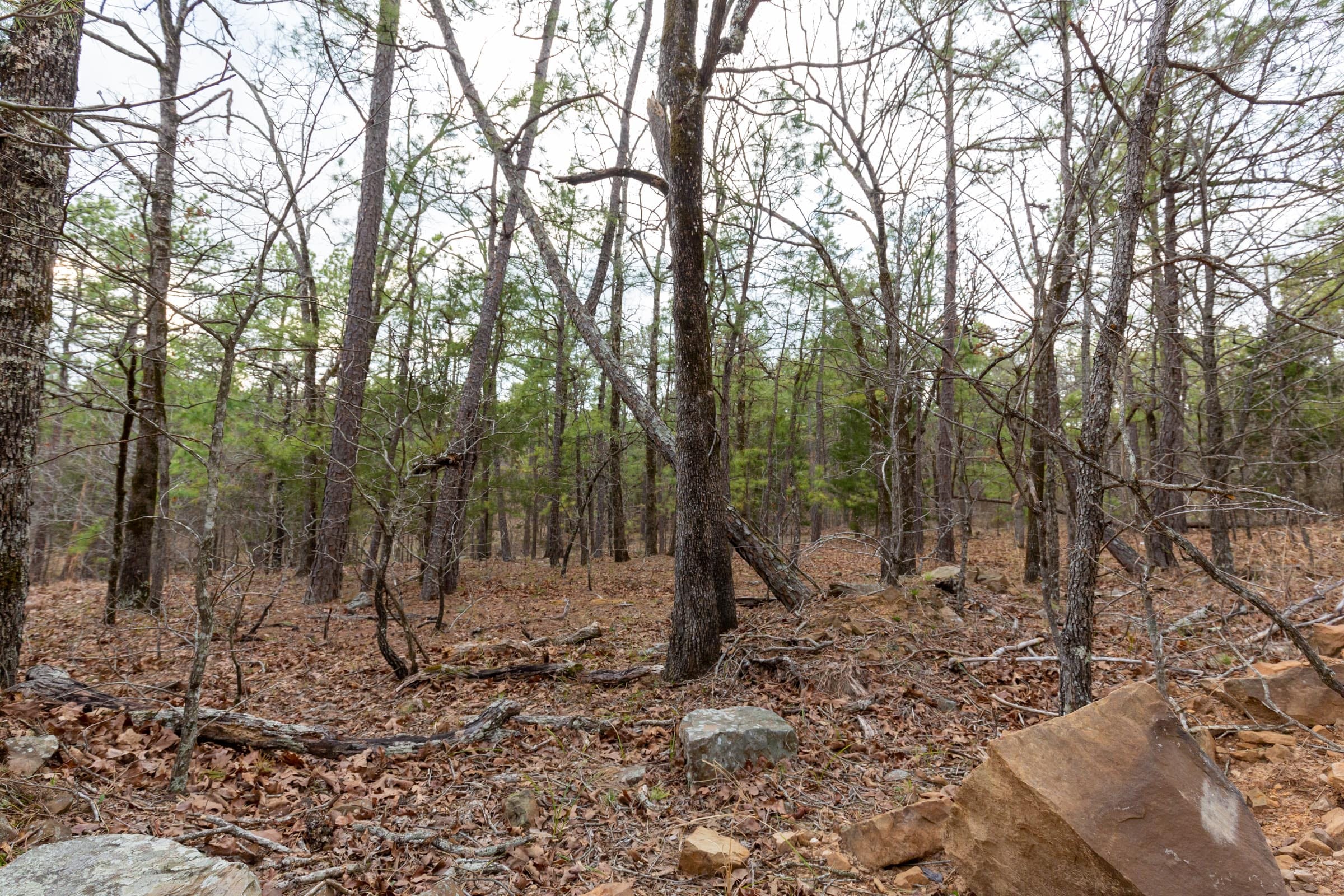 Stone Bridge Phase III Tract 177 photo 19