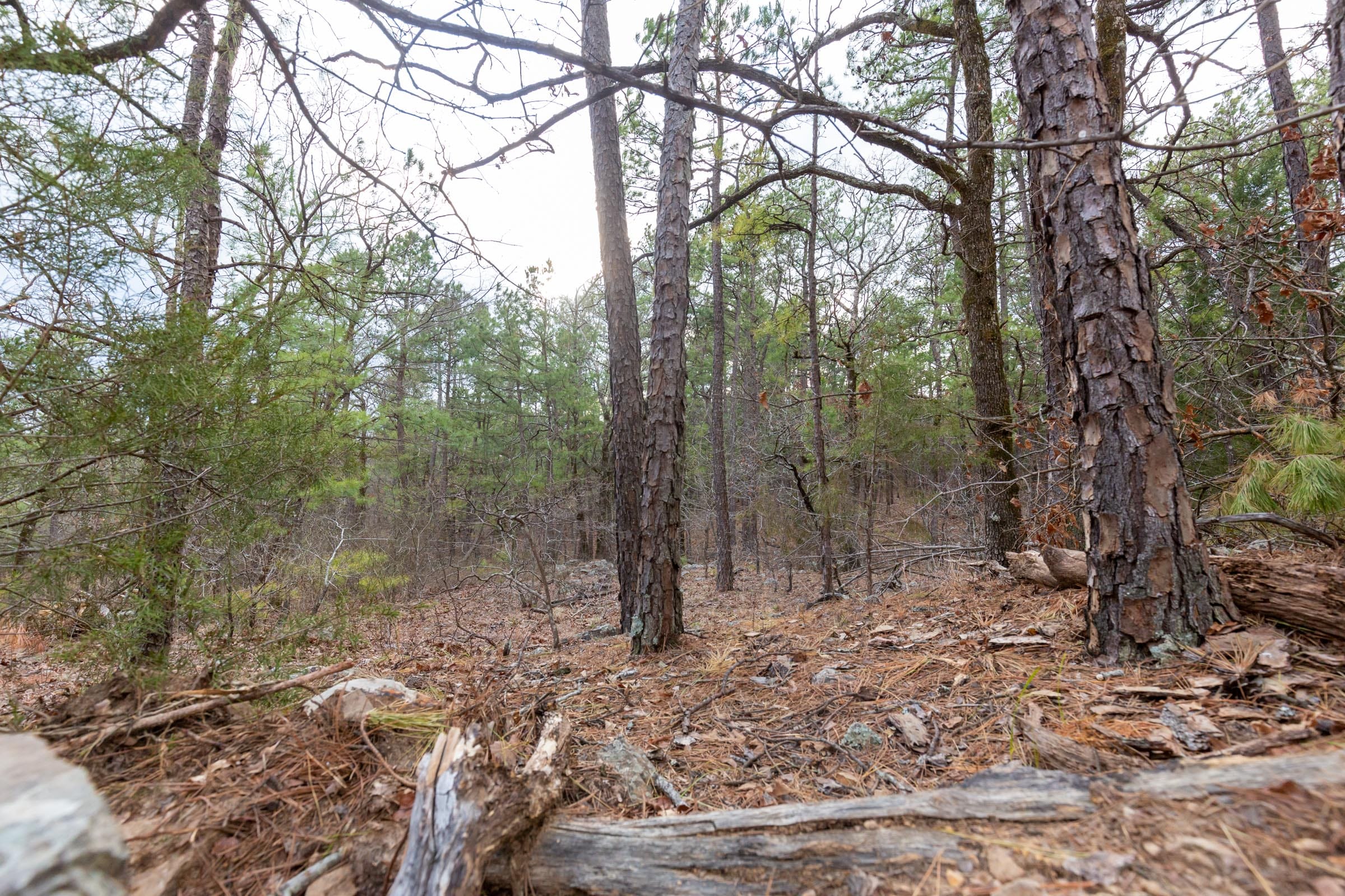 Stone Bridge Phase III Tract 177 photo 20