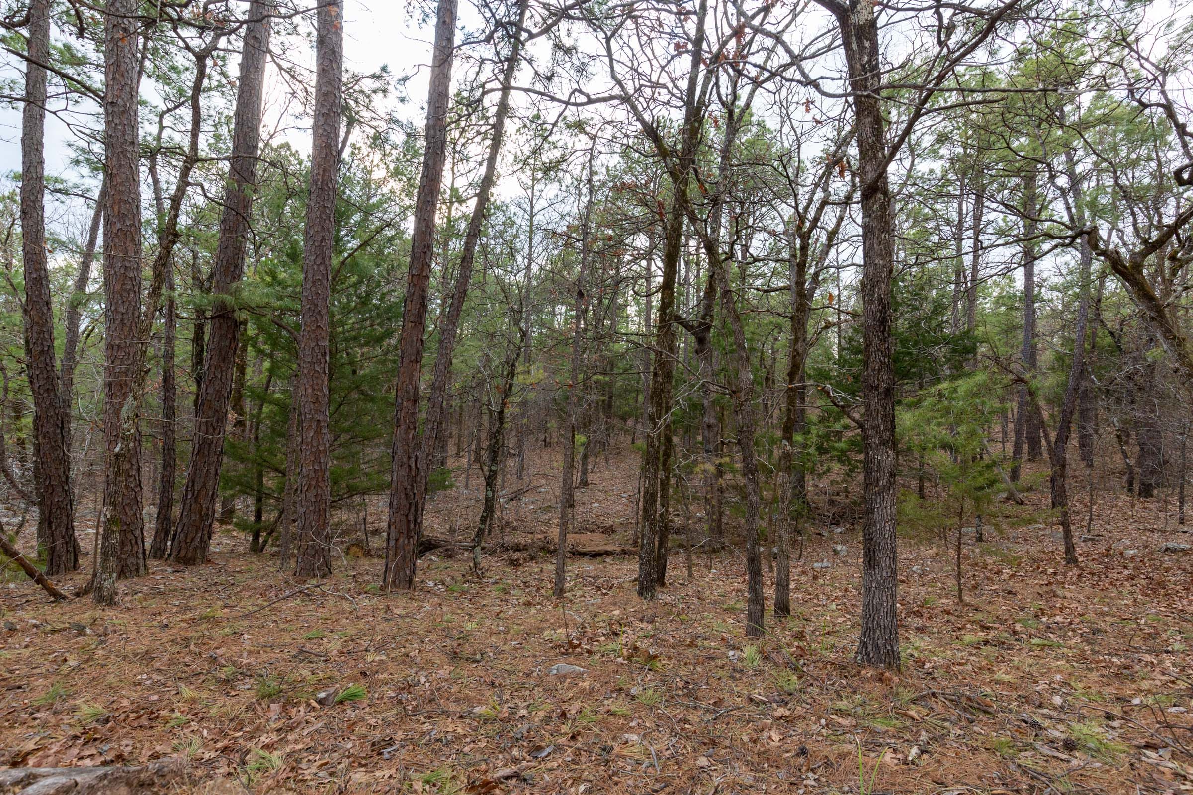 Stone Bridge Phase III Tract 177 photo 21