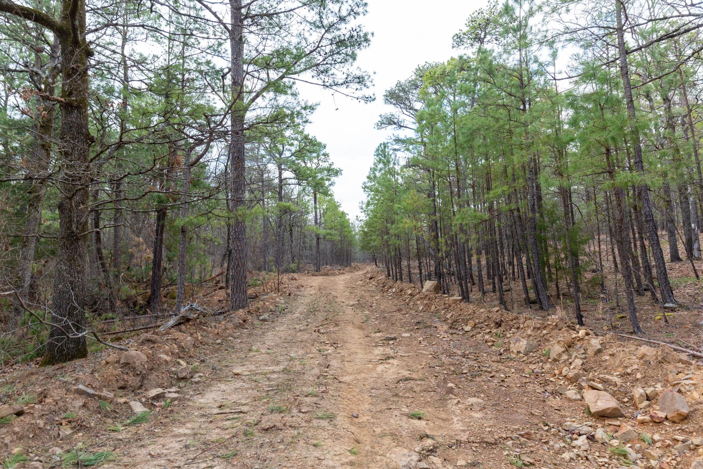 Stone Bridge Phase III Tract 177 photo 18