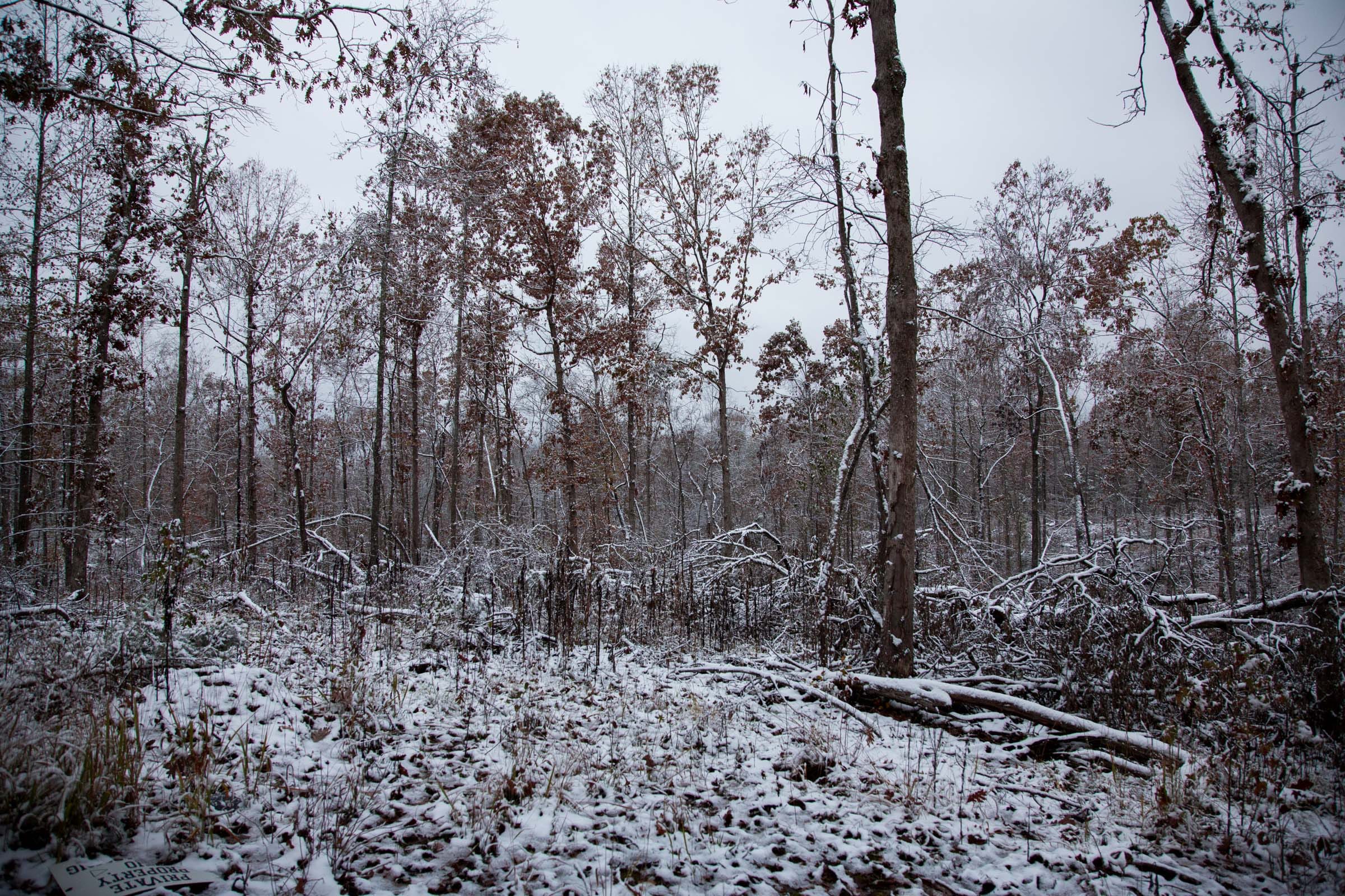 Sweet Water Ranch Tract 3 photo 1