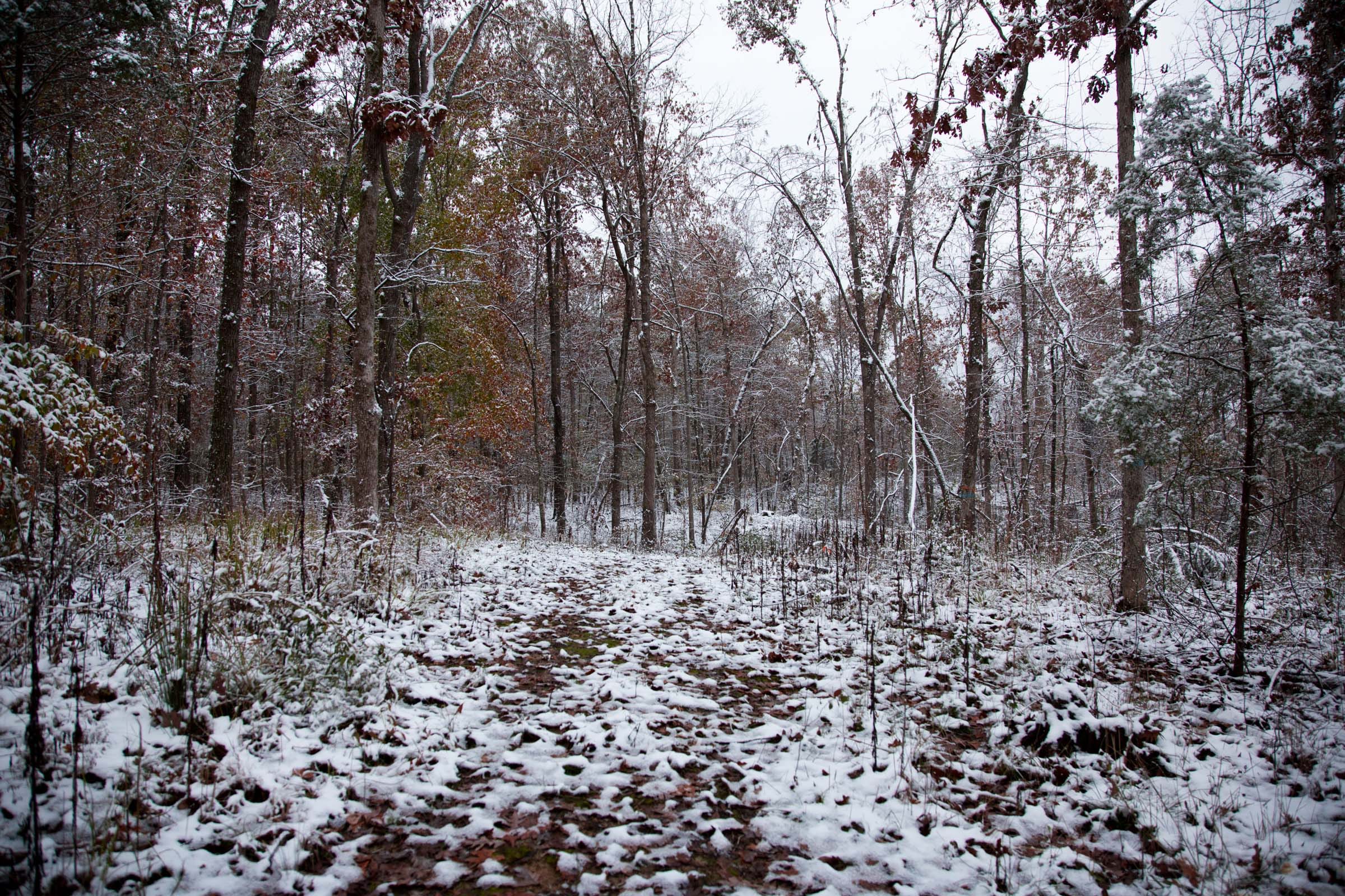 Sweet Water Ranch Tract 3 photo 2