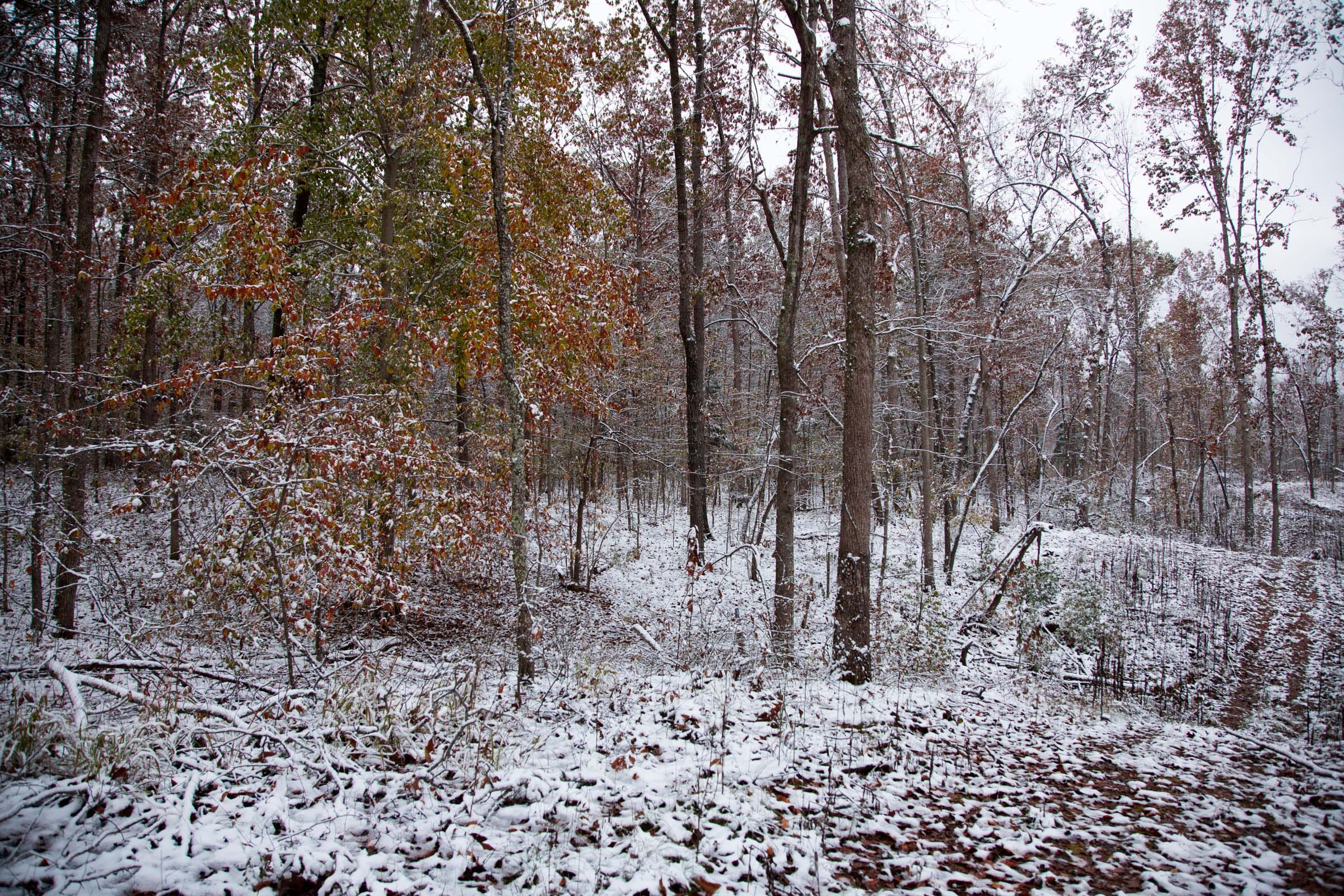 Sweet Water Ranch Tract 3 photo 3