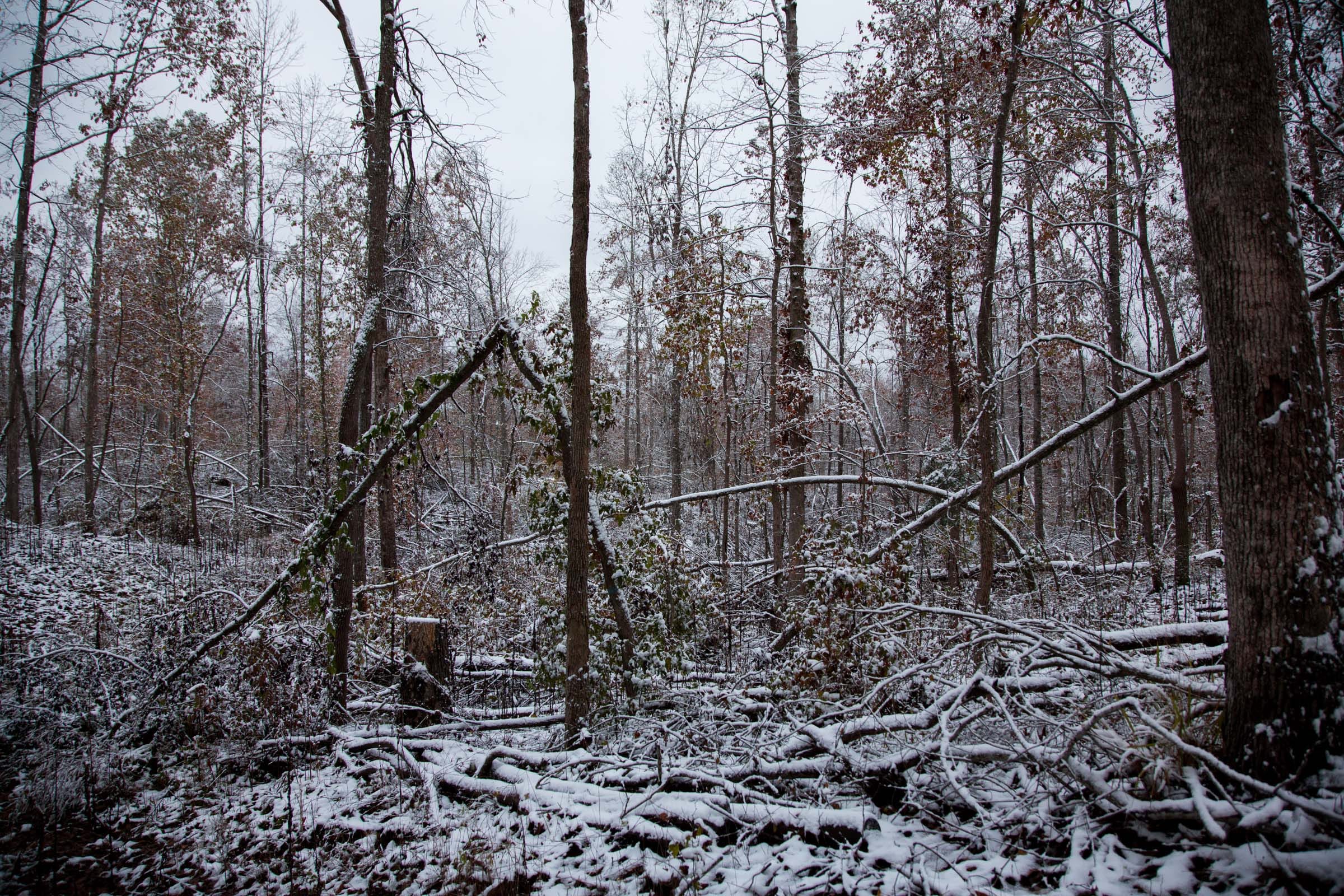 Sweet Water Ranch Tract 3 photo 4