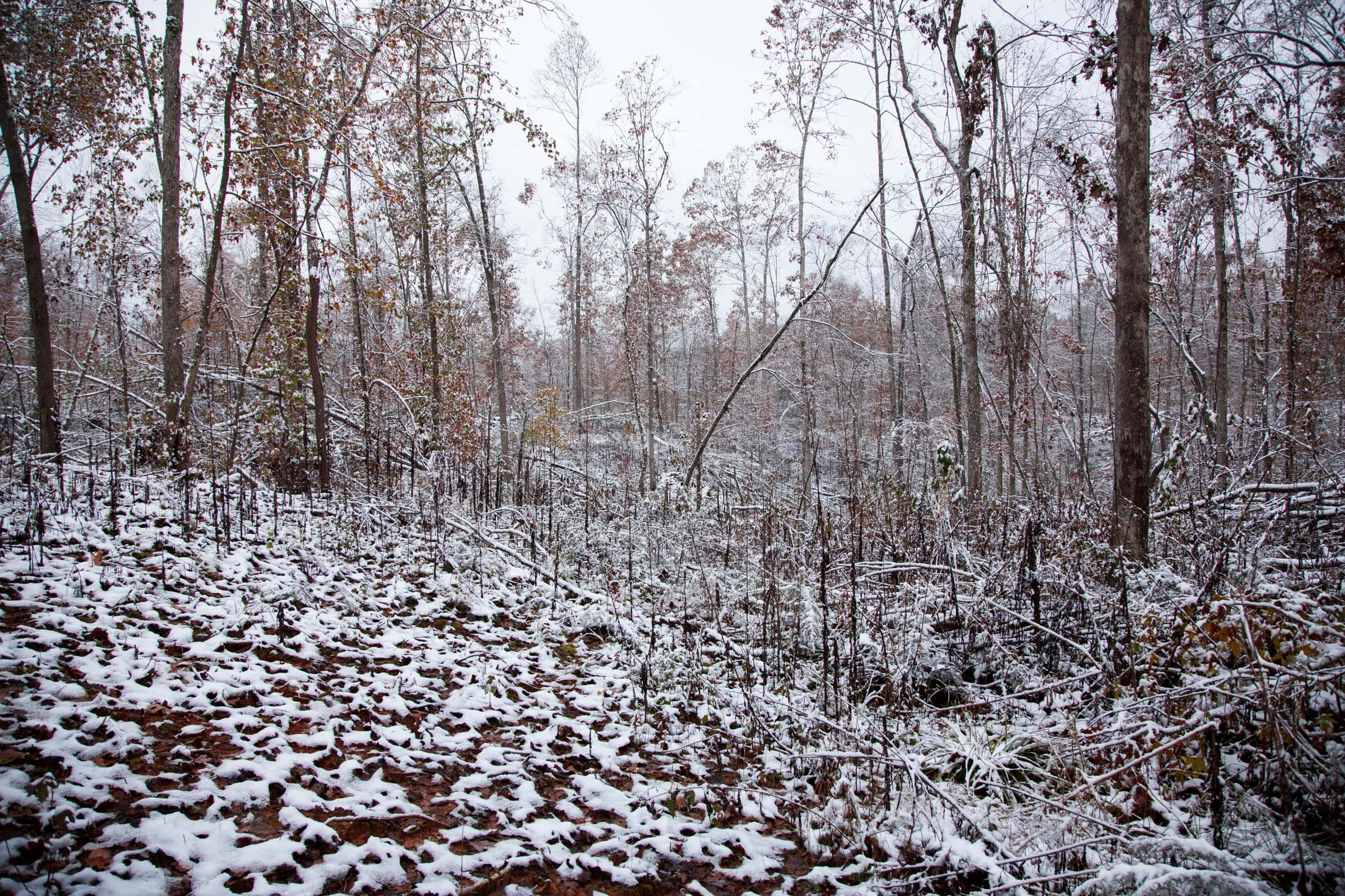 Sweet Water Ranch Tract 3 photo 5