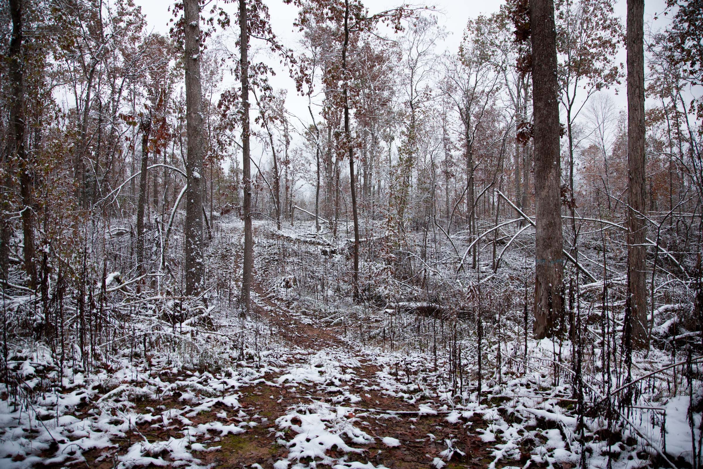 Sweet Water Ranch Tract 3 photo 6