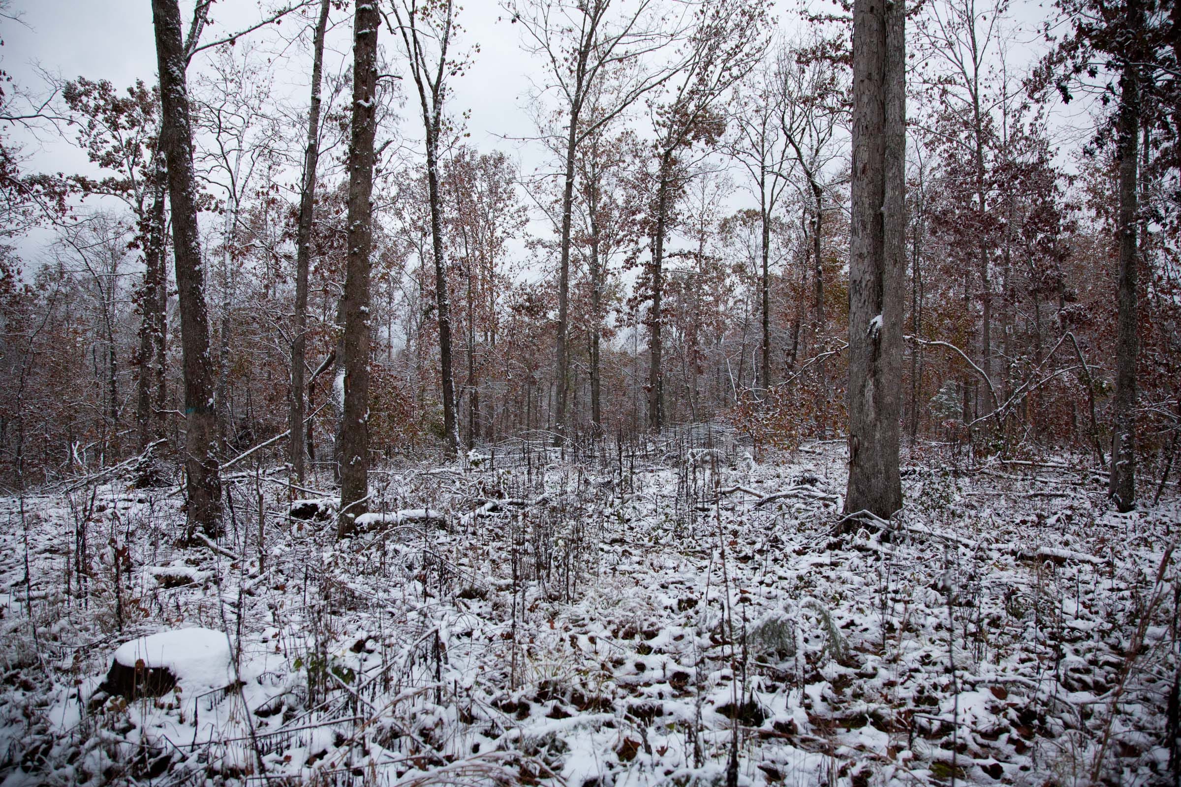 Sweet Water Ranch Tract 3 photo 8