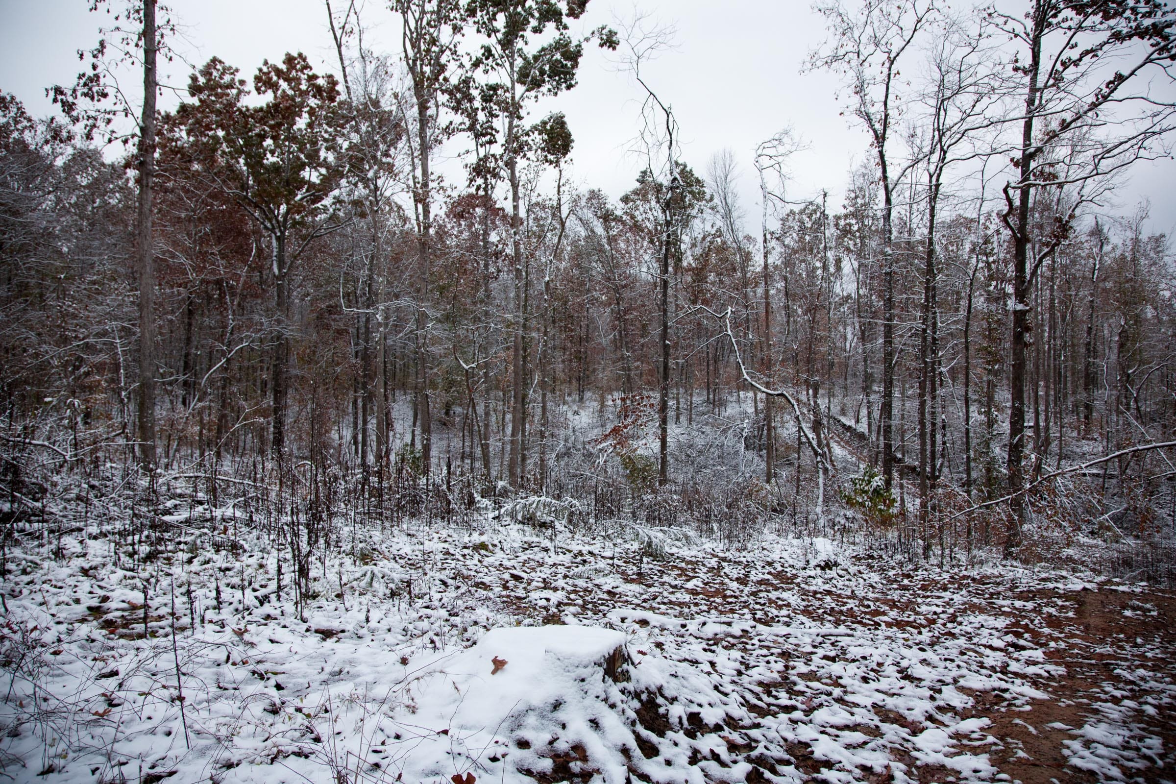 Sweet Water Ranch Tract 3 photo 9