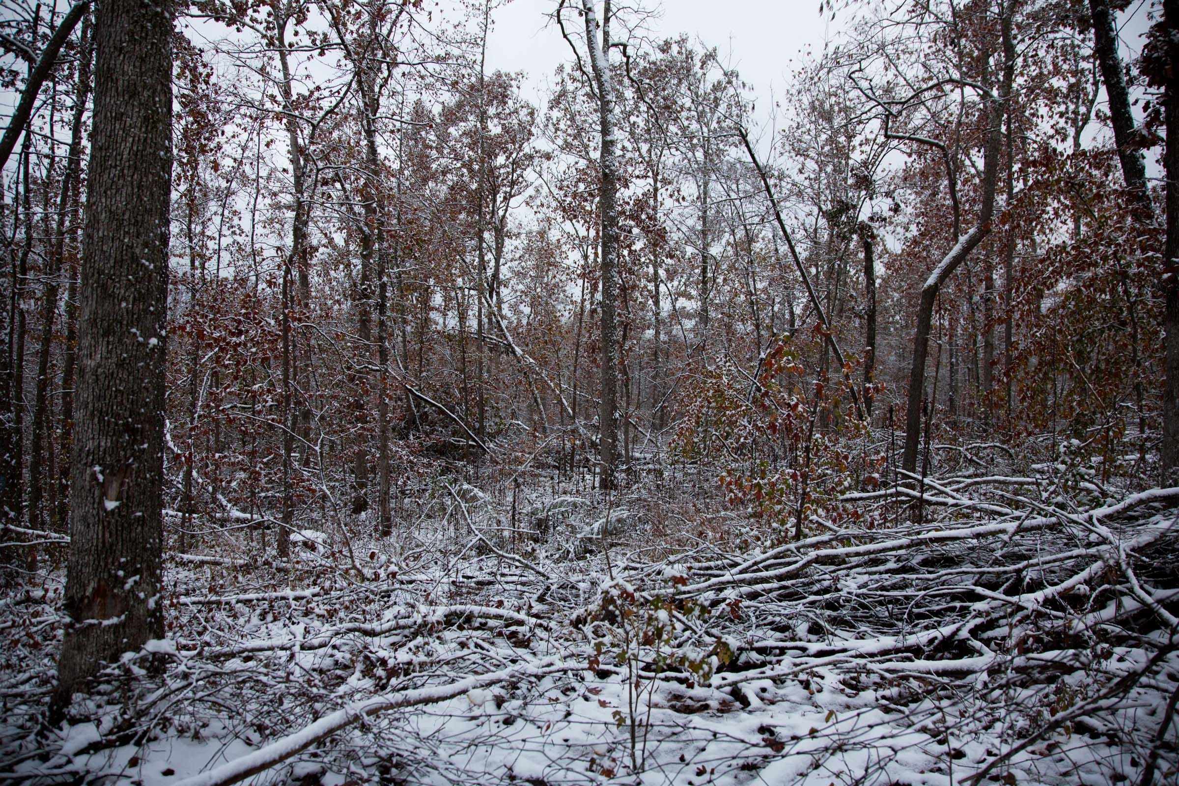 Sweet Water Ranch Tract 3 photo 10
