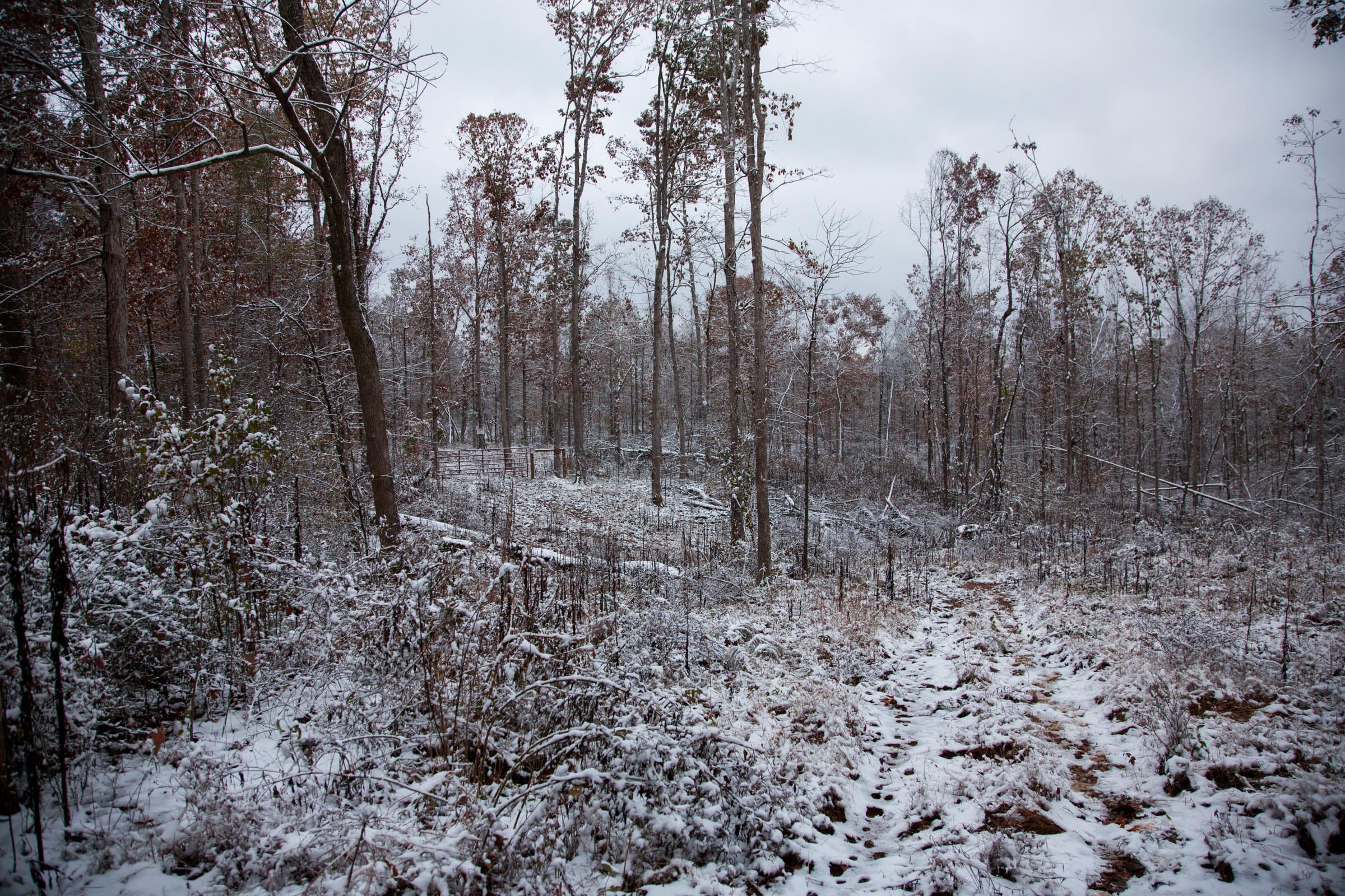 Sweet Water Ranch Tract 3 photo 12