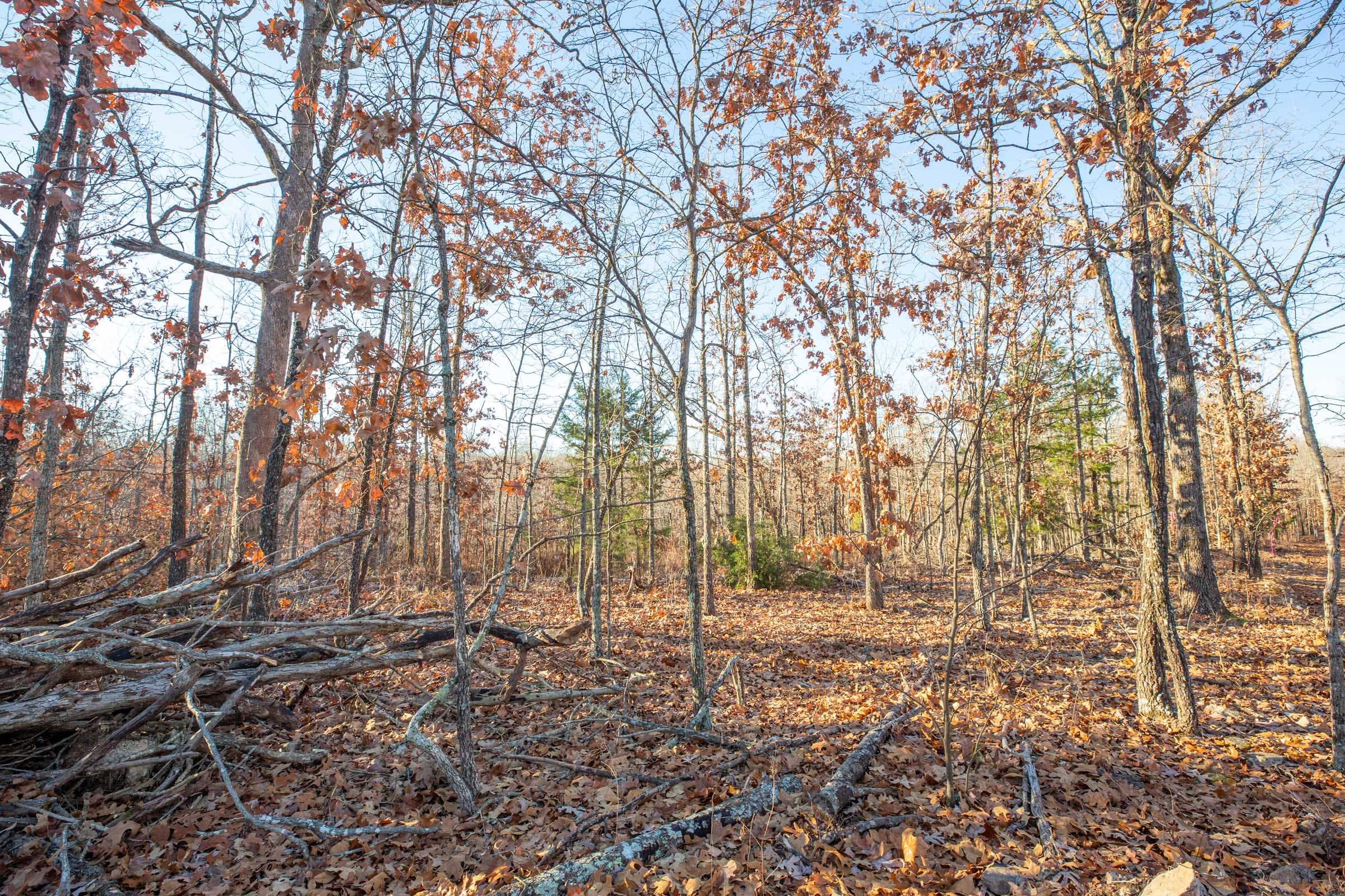Dutchman Hollow Tract 15 photo 9