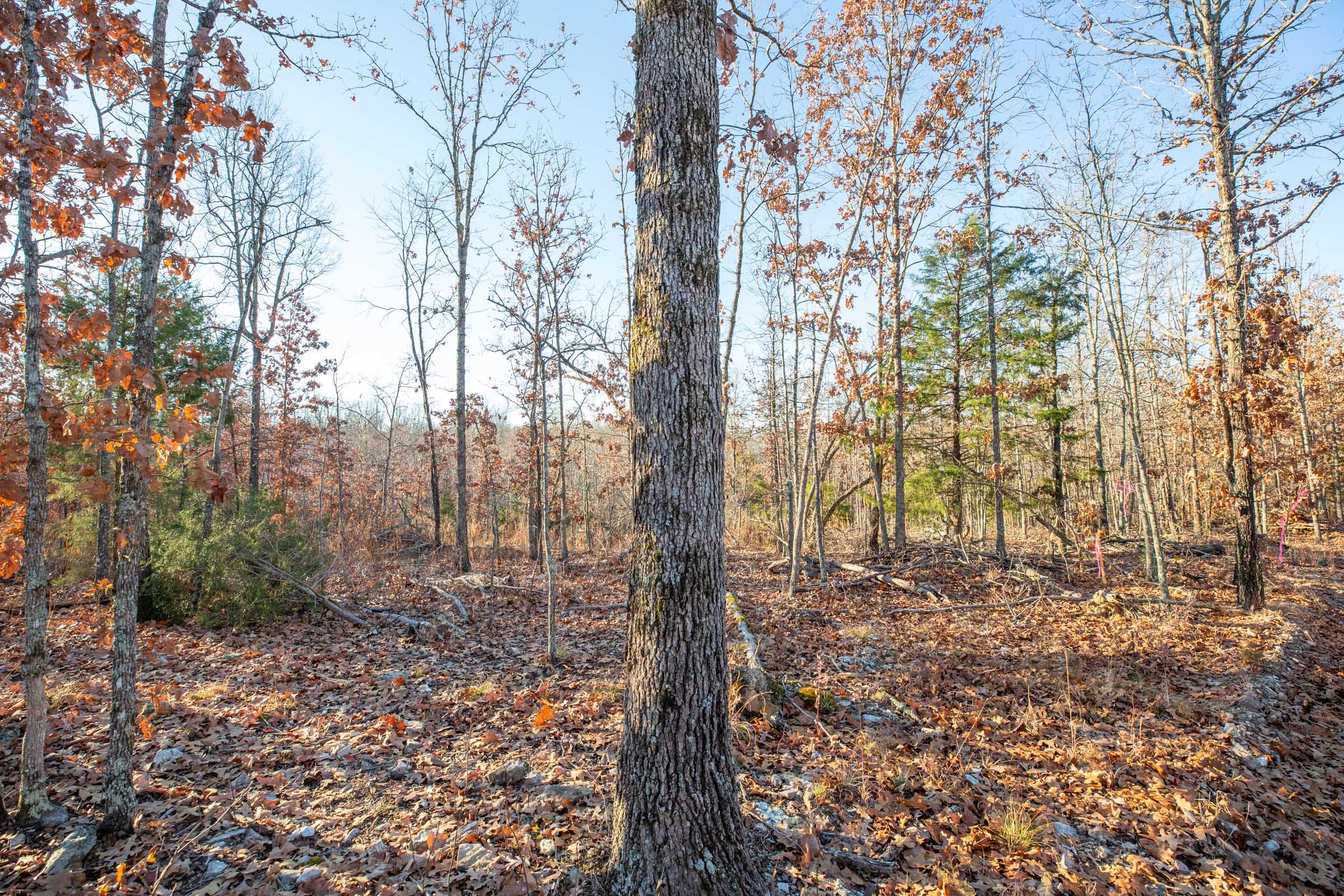 Dutchman Hollow Tract 15 photo 7