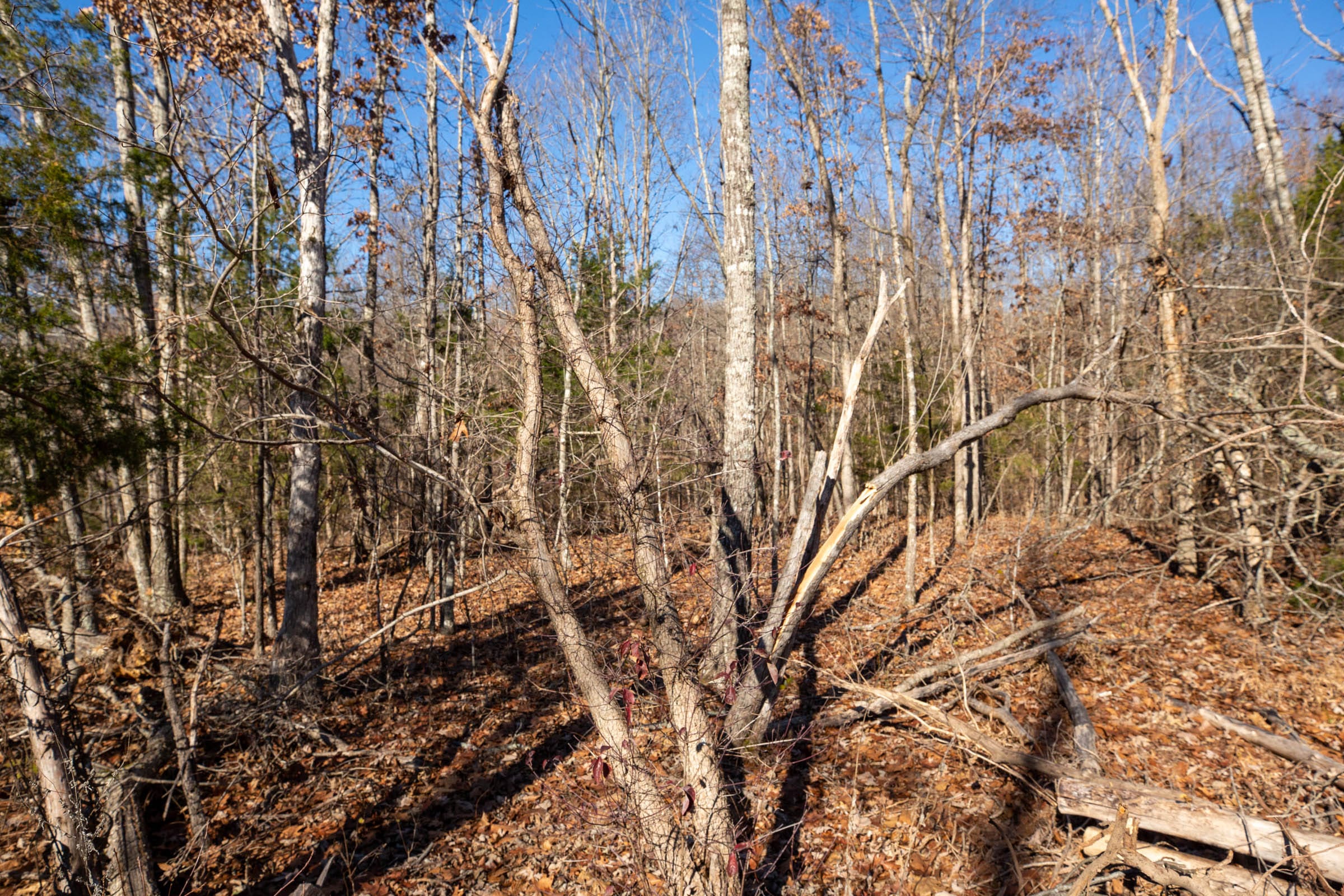 Dutchman Hollow Tract 15 photo 6