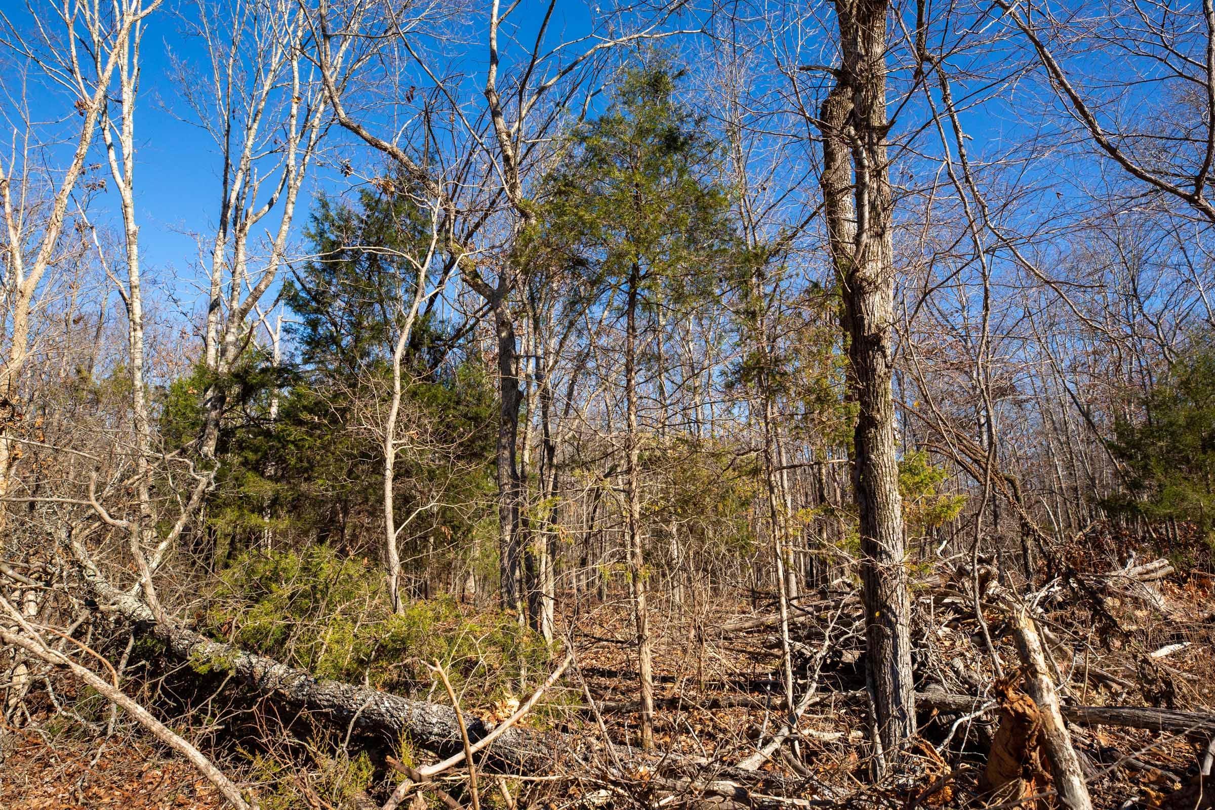 Dutchman Hollow Tract 15 photo 5