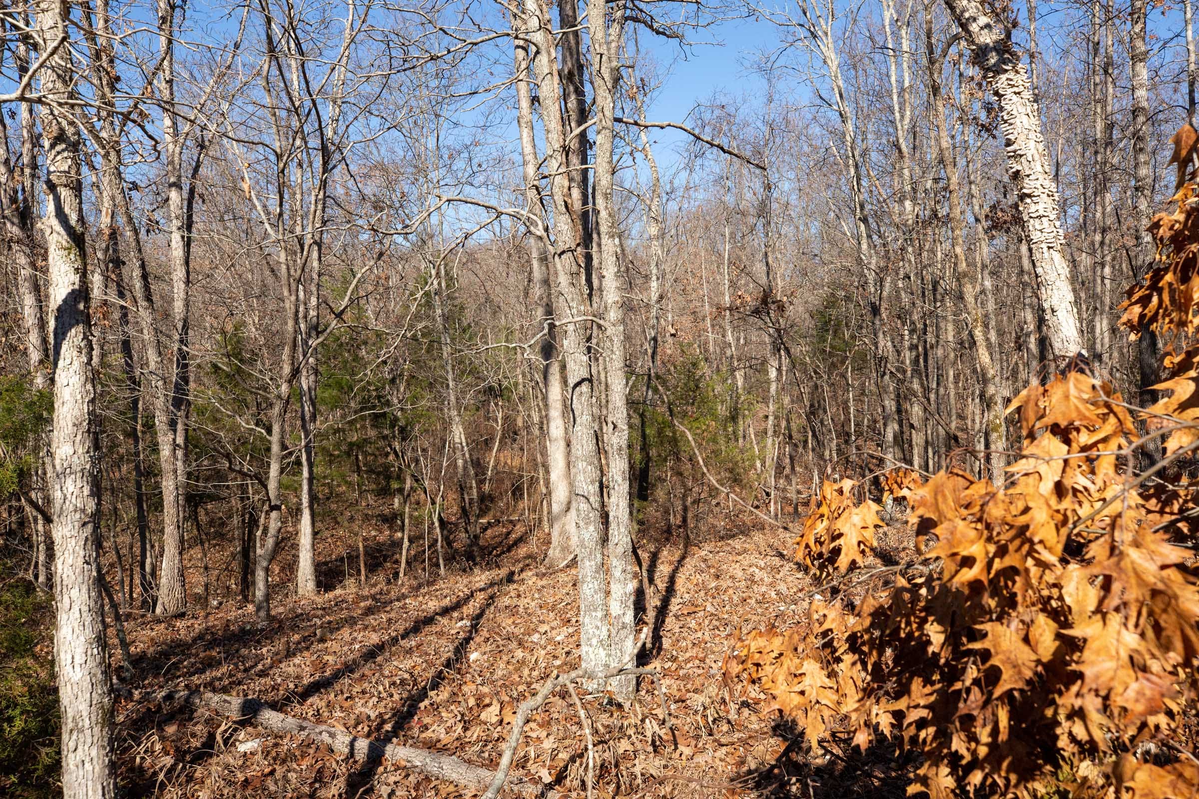 Dutchman Hollow Tract 15 photo 3