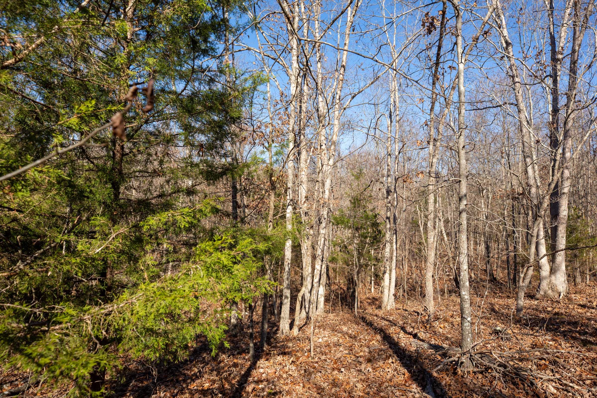 Dutchman Hollow Tract 15 photo 2