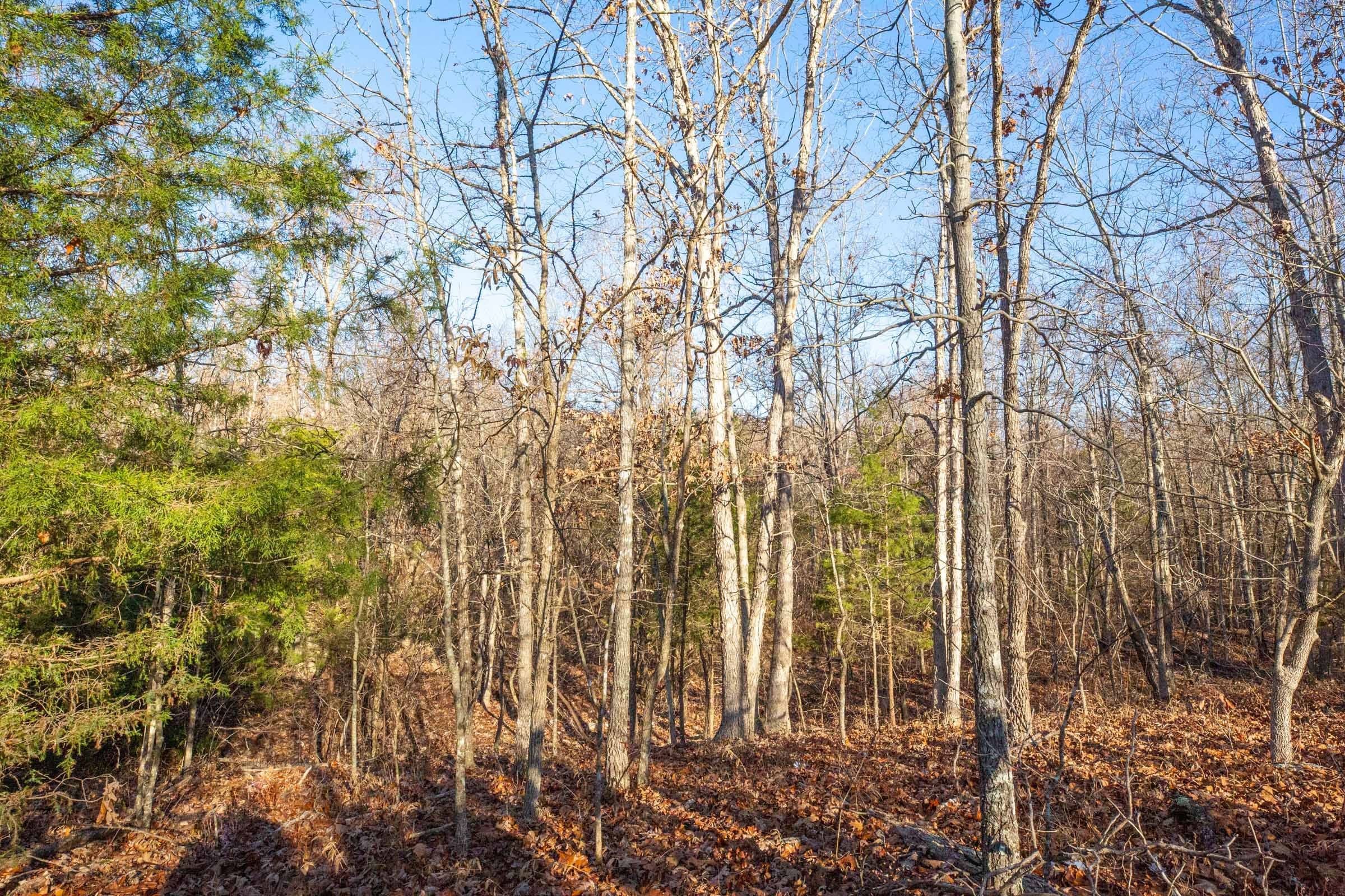 Dutchman Hollow Tract 15 photo 10